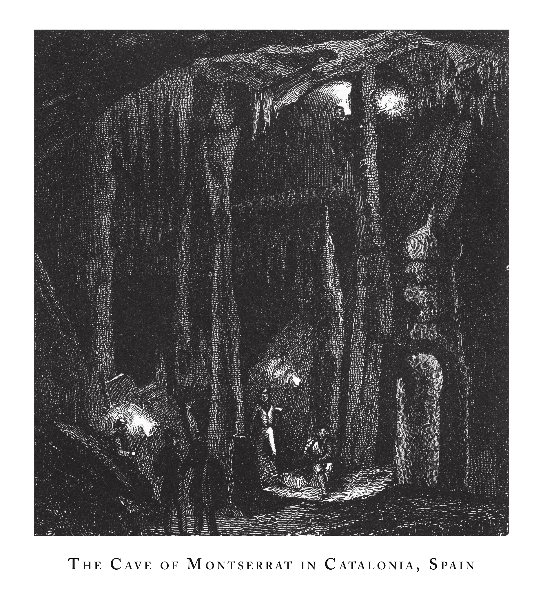 N2-Intercalated WO3 Nanorods for Enhanced Visible Light-Driven Photocatalysis