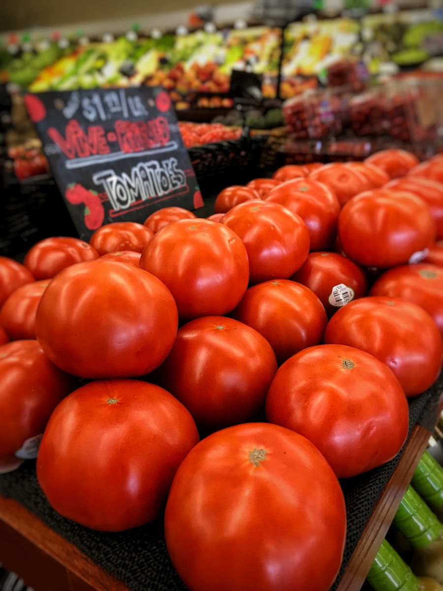 现在Roma tomato一般在哪些地方比较常见？