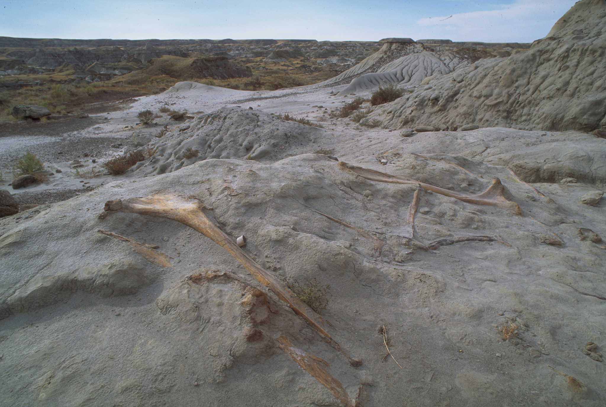 A Fun-Filled Sunday: Learning and Playing with Classmates