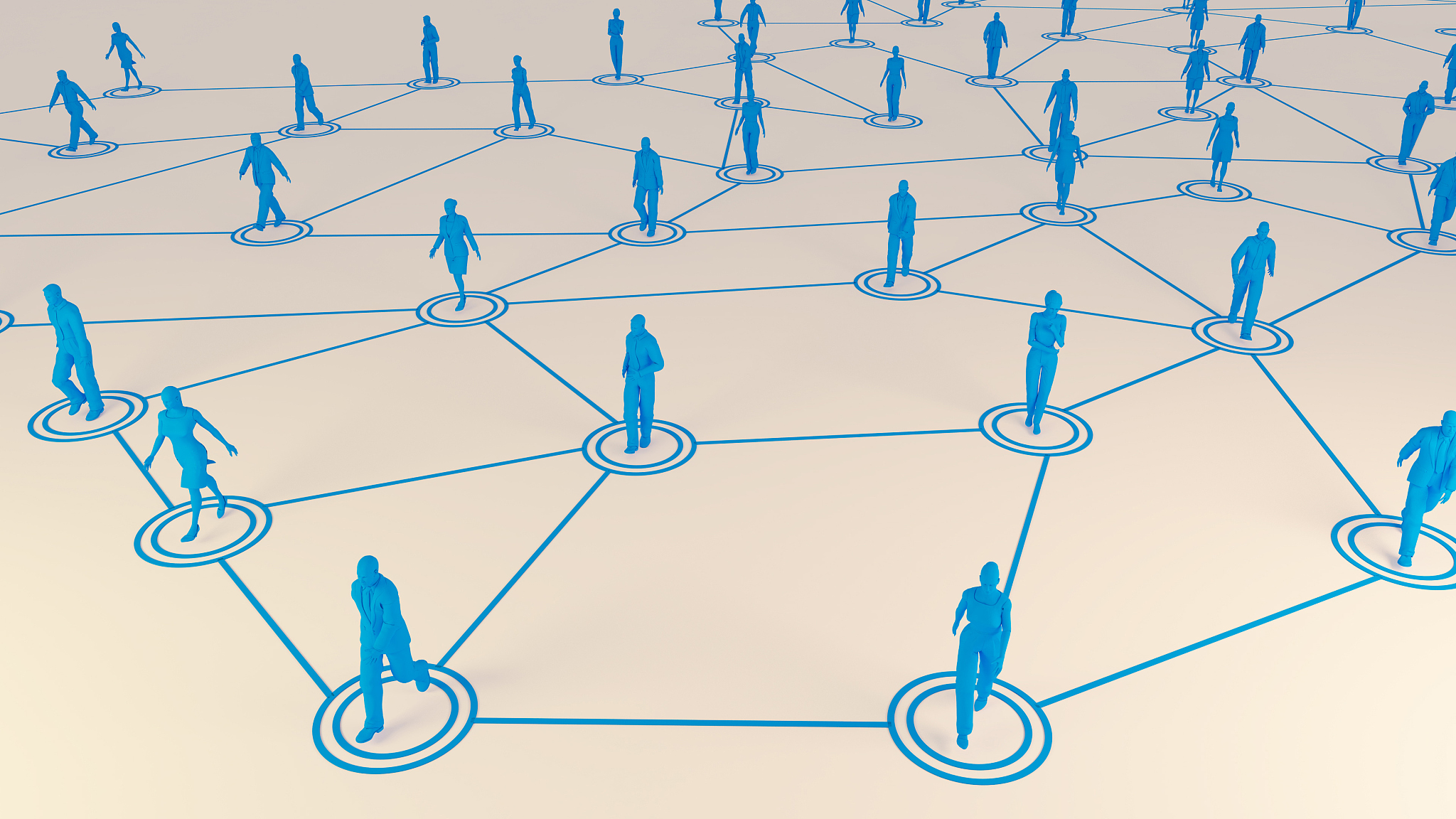 3d rendering with social communication and network