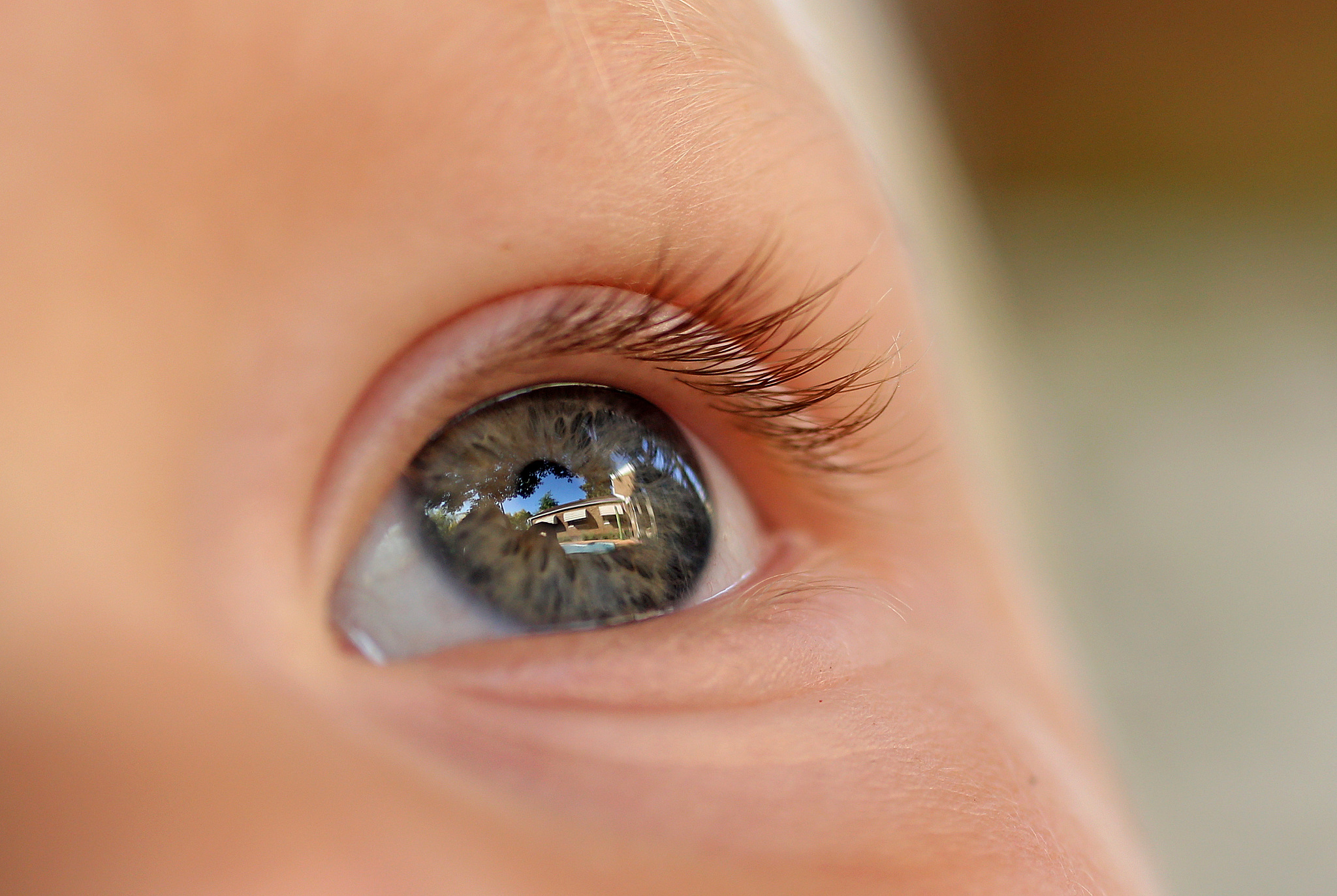 a close up image of a young boys eye
