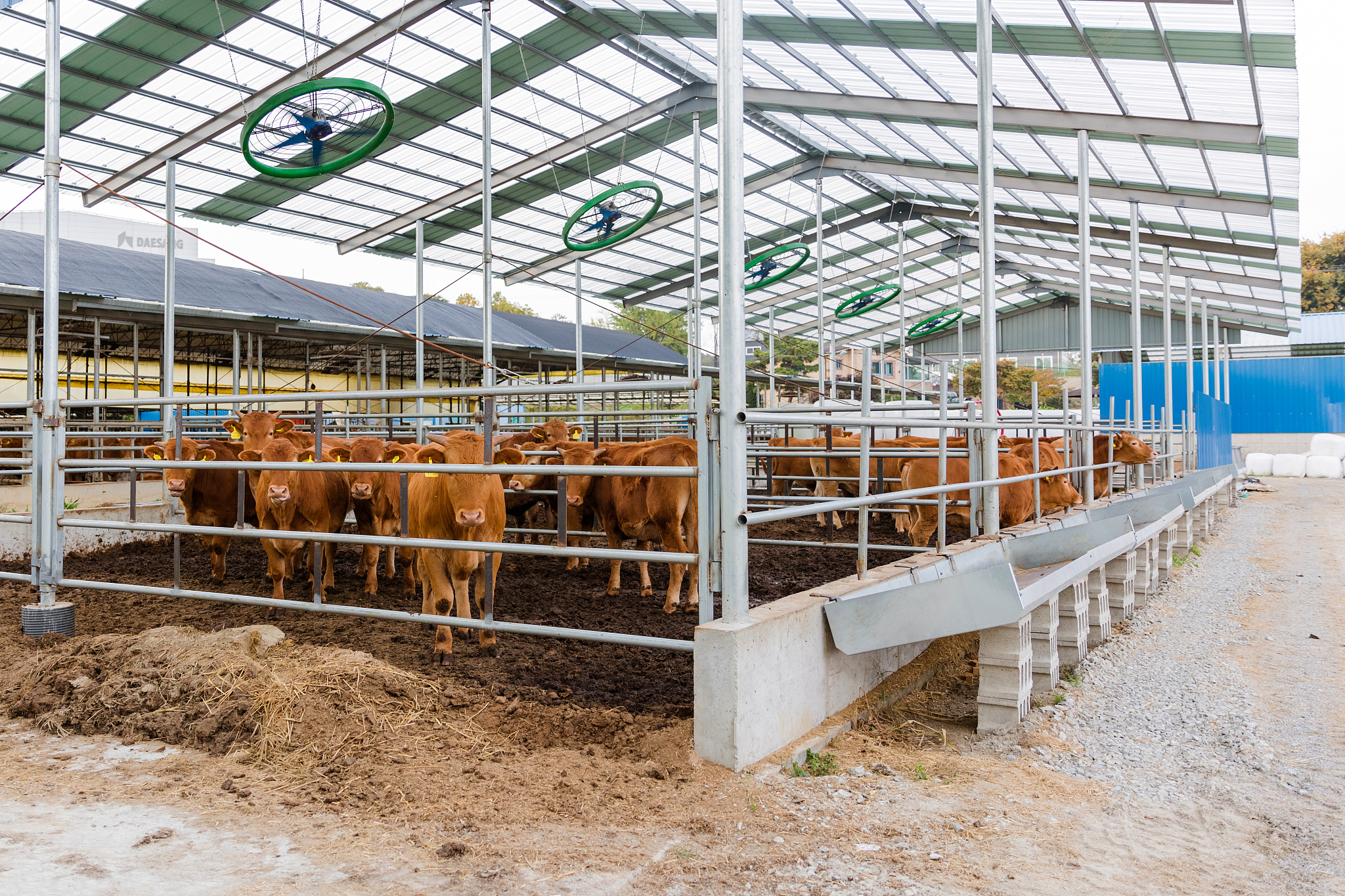 写10条家禽家畜的管理办法