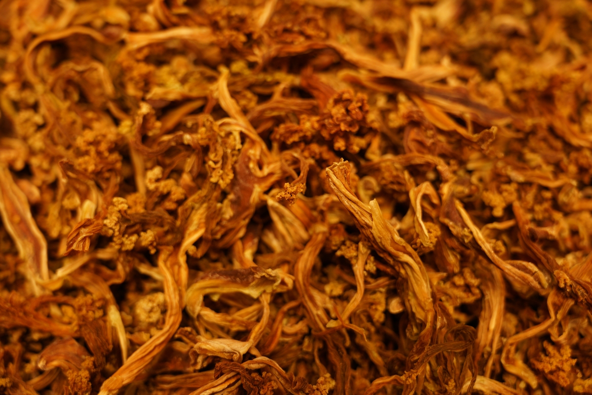 新鲜虫草花可以晒干吗？方法步骤及注意事项