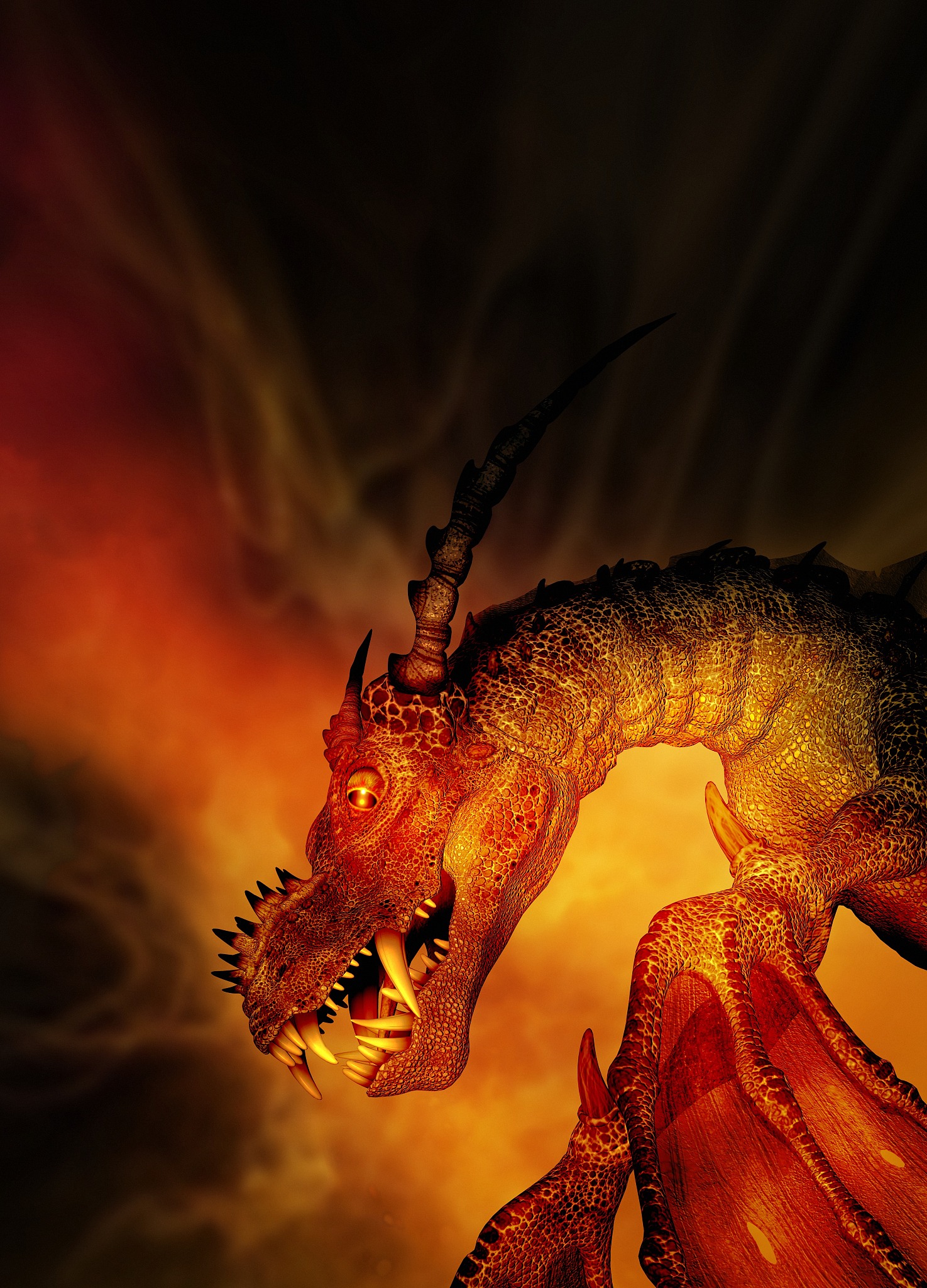 dragon, illustration