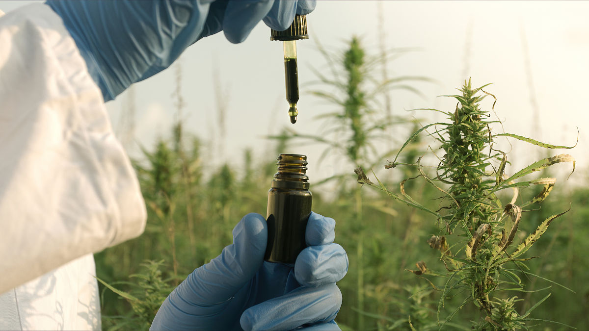 大麻包装袋开发信