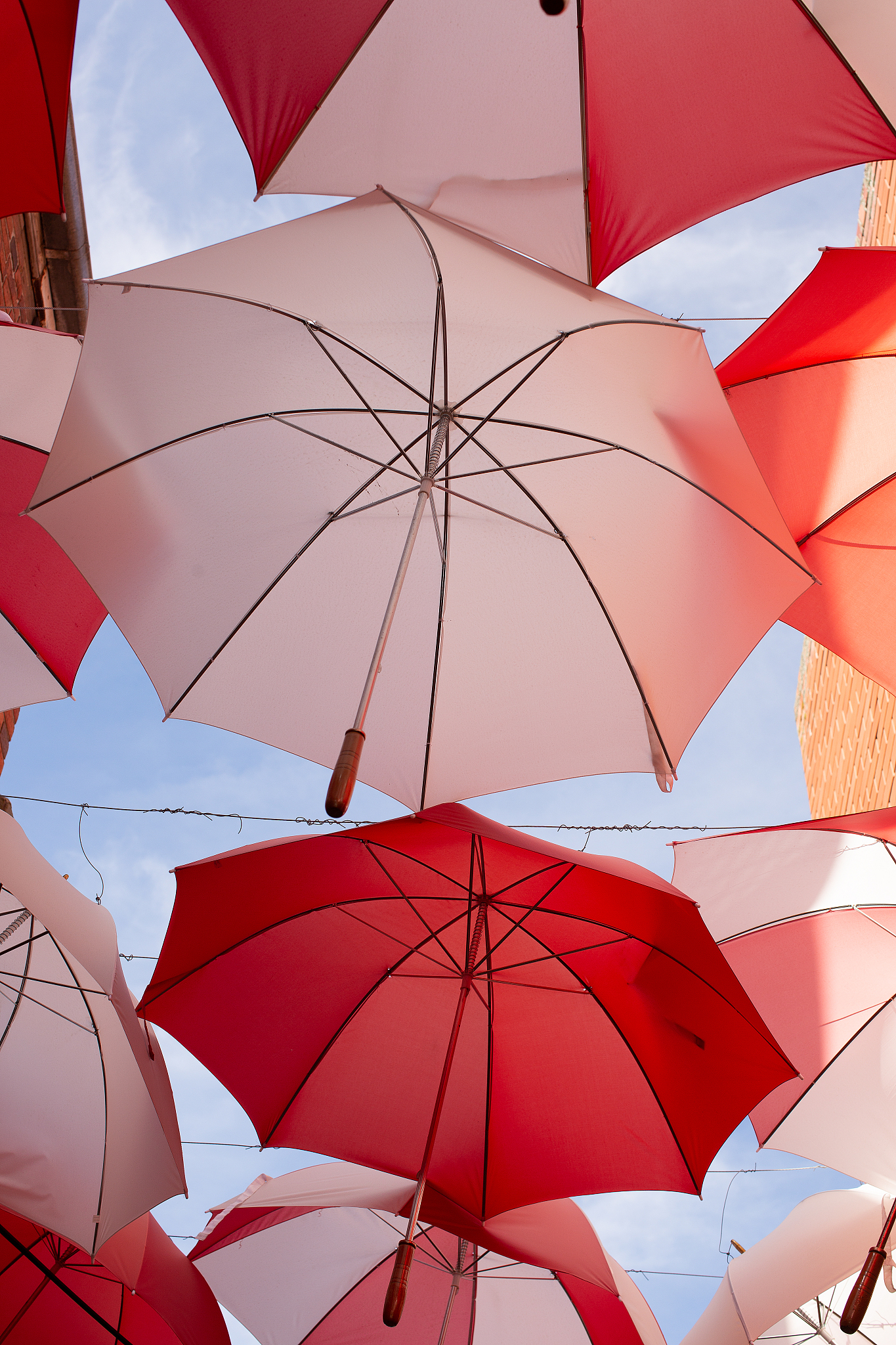 display of red and white umbrellas