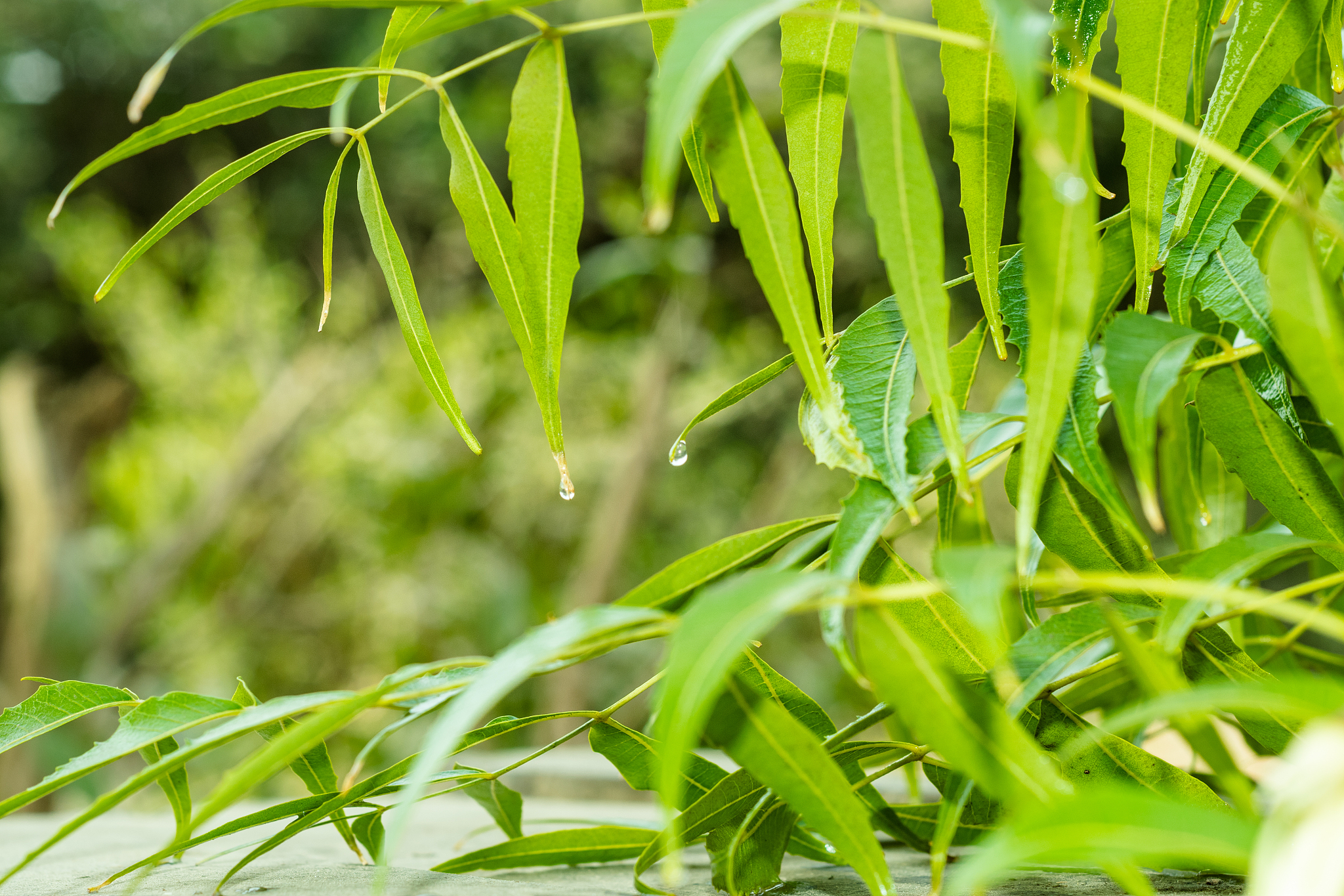 长春工业大学的生物技术专业有没有行业前景