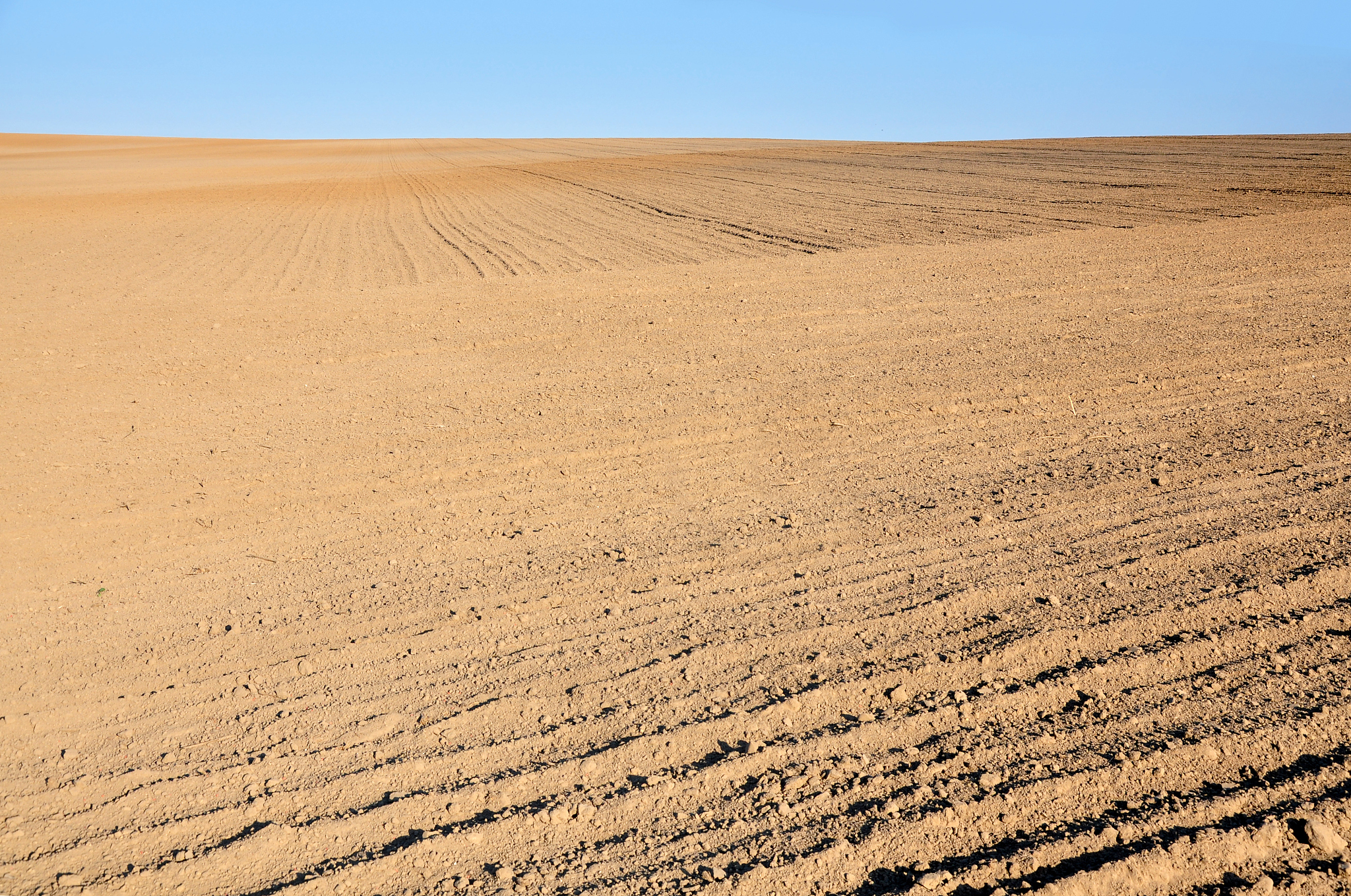 agricultural field of plowed ground on a background of blue sky.