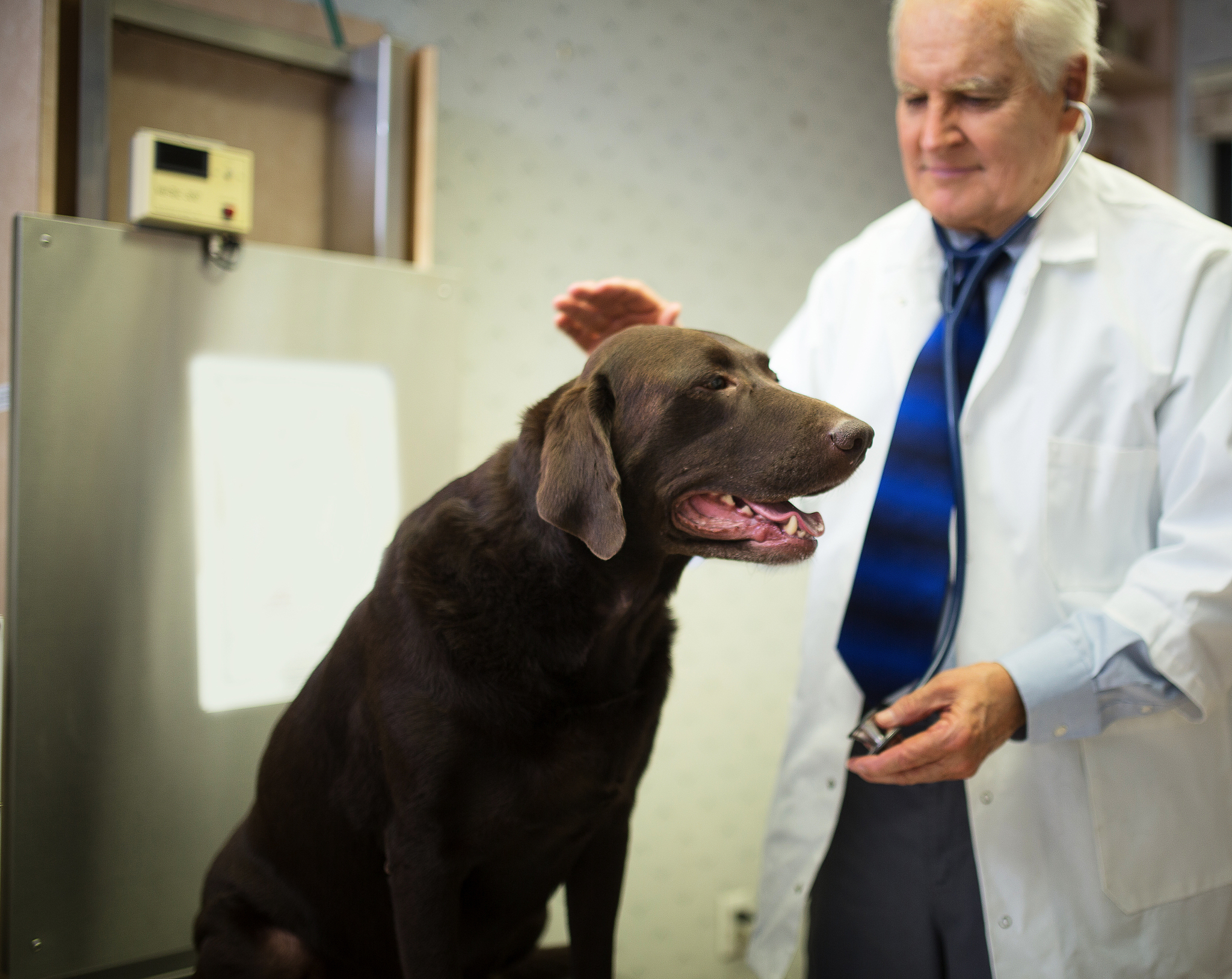 黔西南民族职业技术学院宠物医疗技术专业都学些什么
