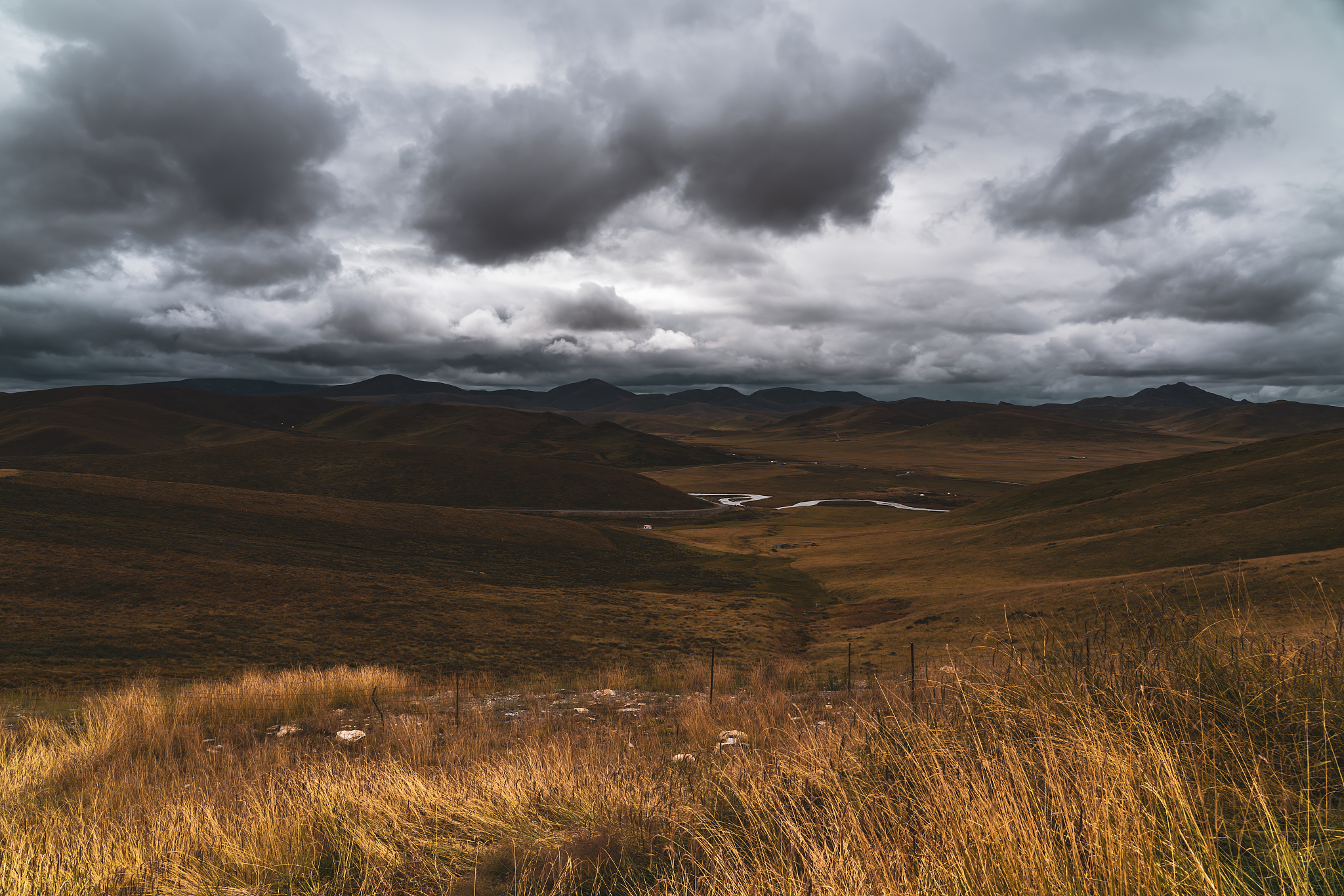 甘南起点艺术学校办学规模怎么样