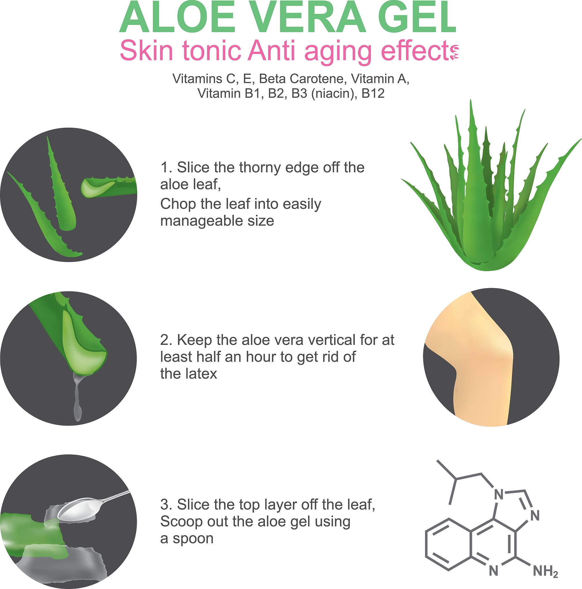 Example of Sensed Response in Biology: Phototropism