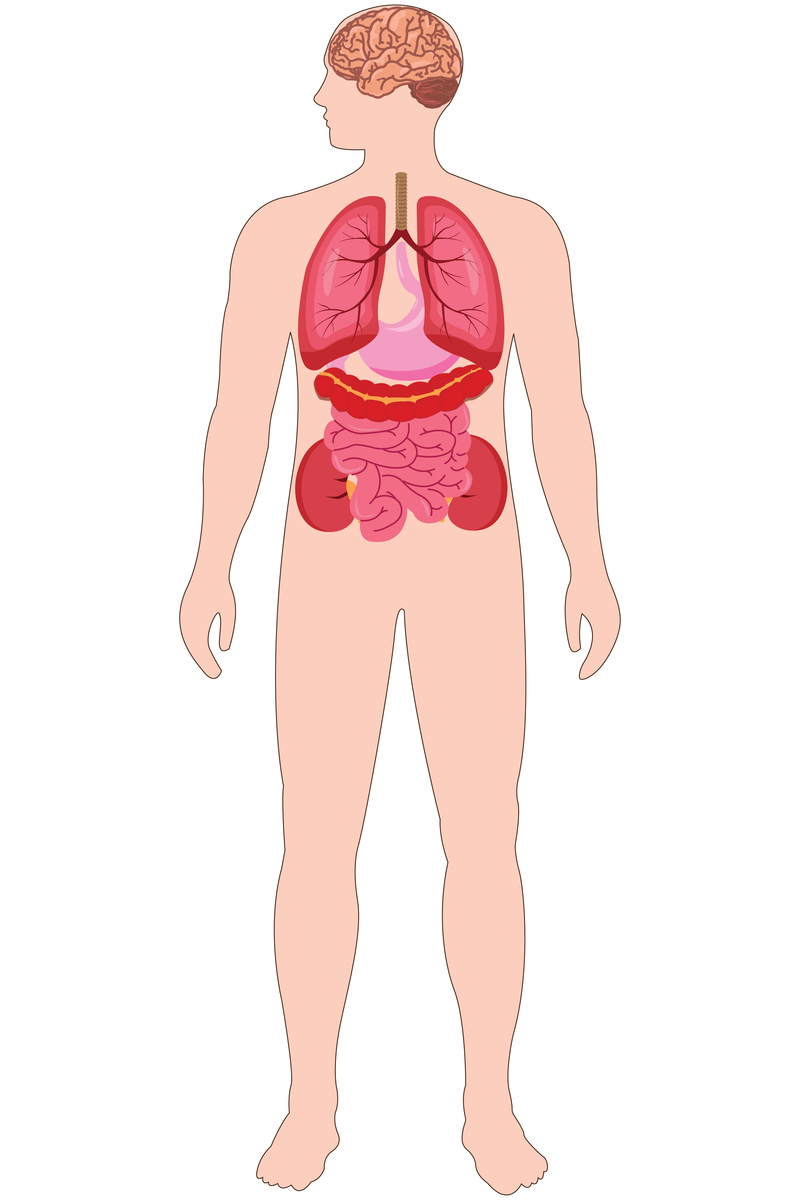 成都大专护理专业都学什么课程
