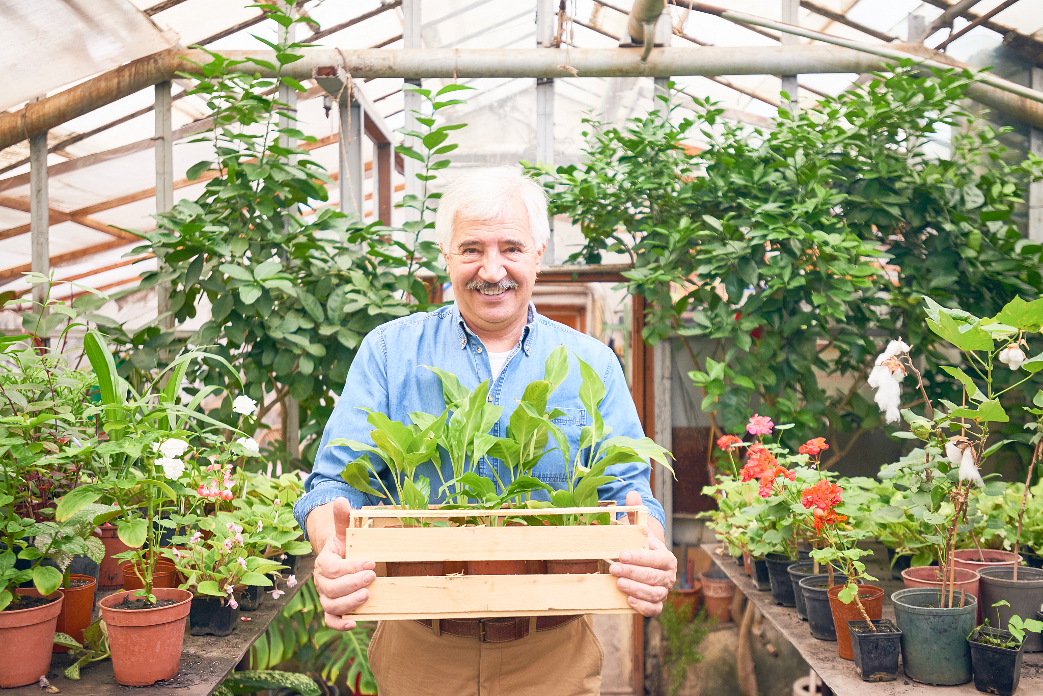 2020上海市农业学校招生简章 - 农业人才培养的摇篮