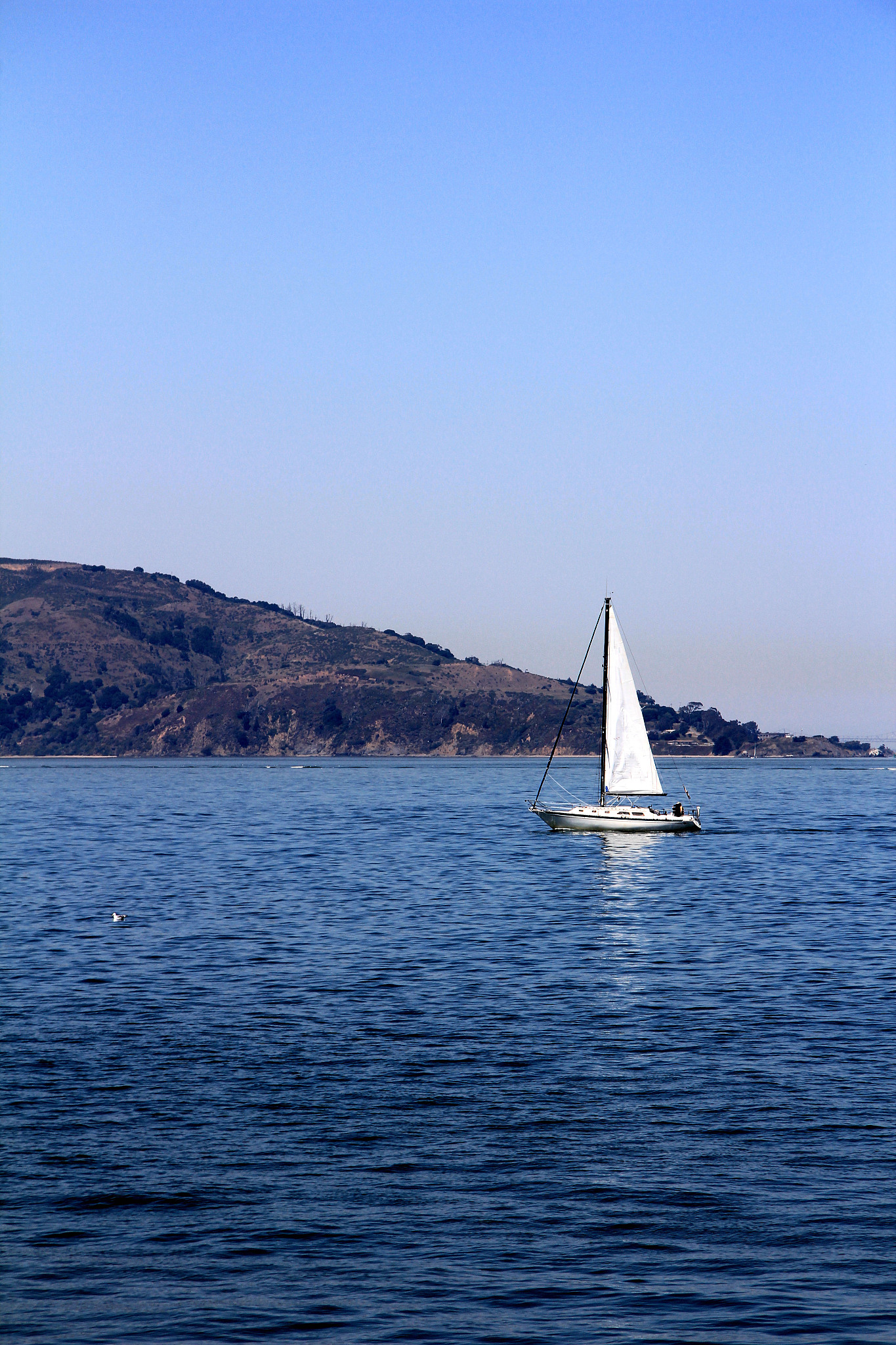 aerial view at bay area california with yacht