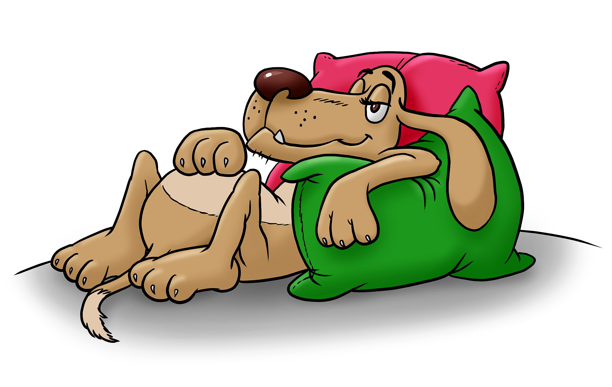 续写人生：小镇的温暖与梦想的绽放