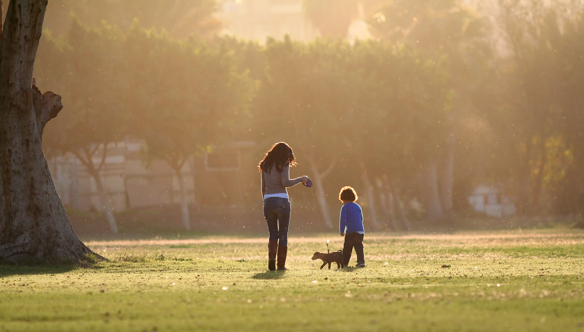 mother playing outside with her son n puppy