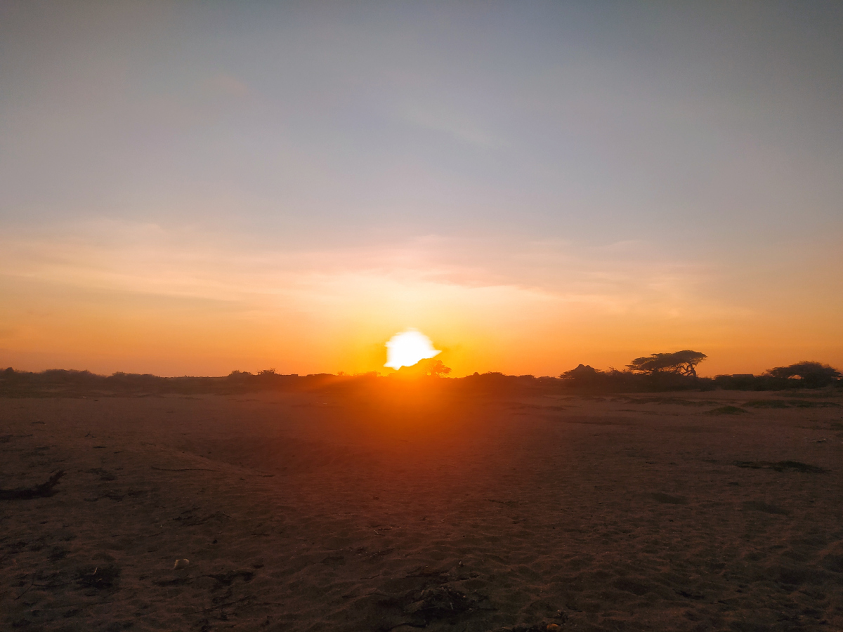 动态春日打卡计划# 拍摄夕阳最佳的时间点在下午的7