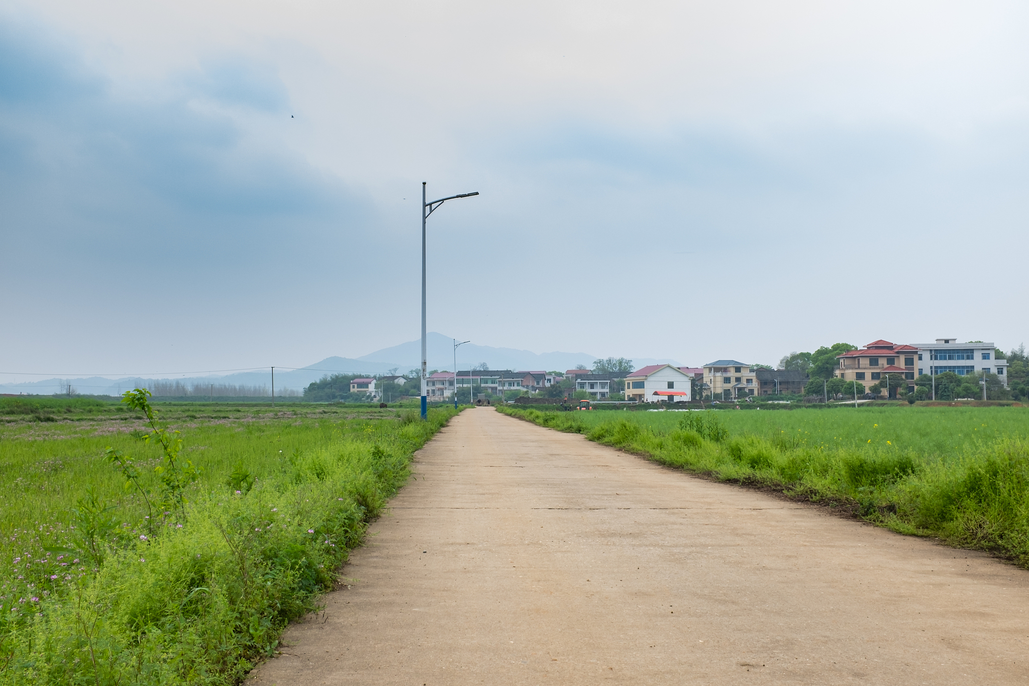 振兴的乡村小路