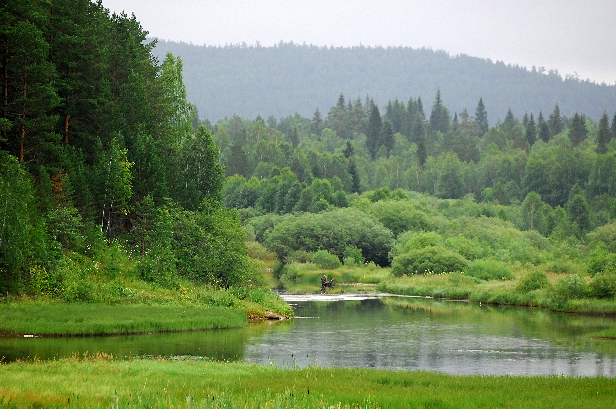 抚顺新宾：森林水韵，生态宜居县