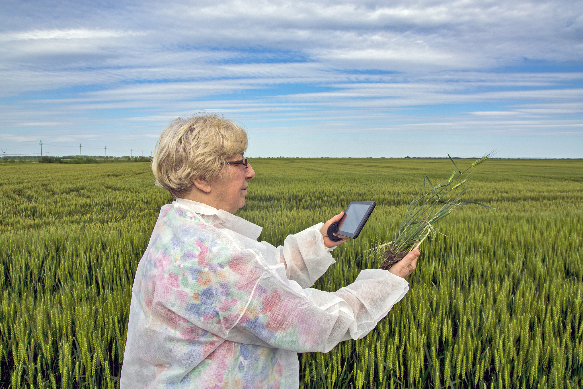 武汉市农业学校哪些专业比较热门