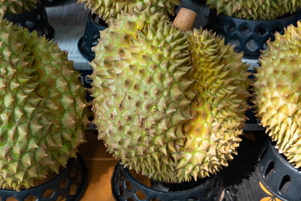 榴莲等级划分详解：如何挑选优质榴莲？