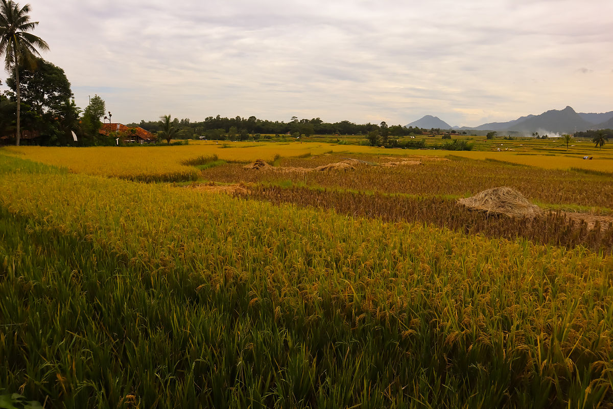 跨越文化之桥：铁路建设中的尊重与理解