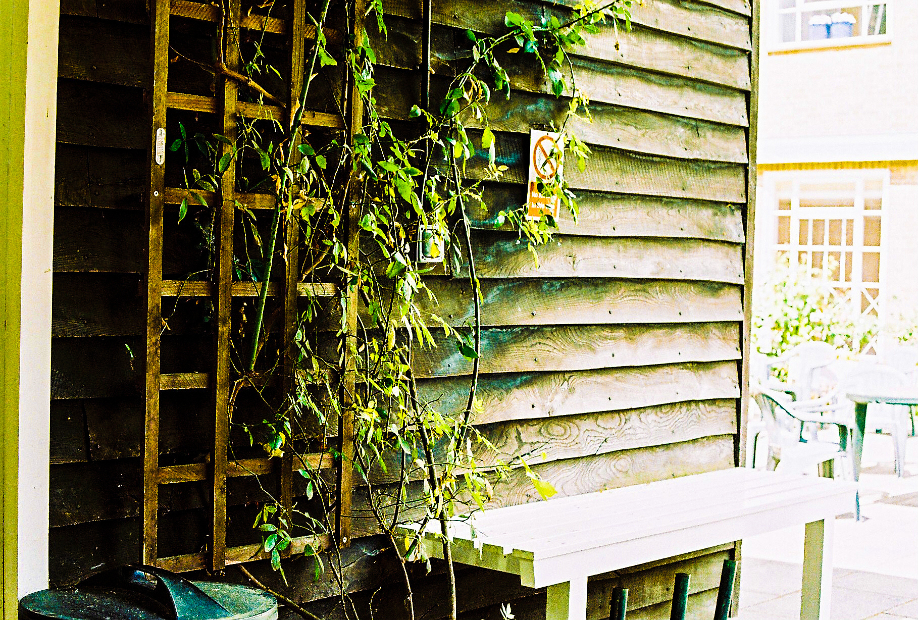 胞间浓度、气孔导度、水分利用率对蒸腾速率的影响