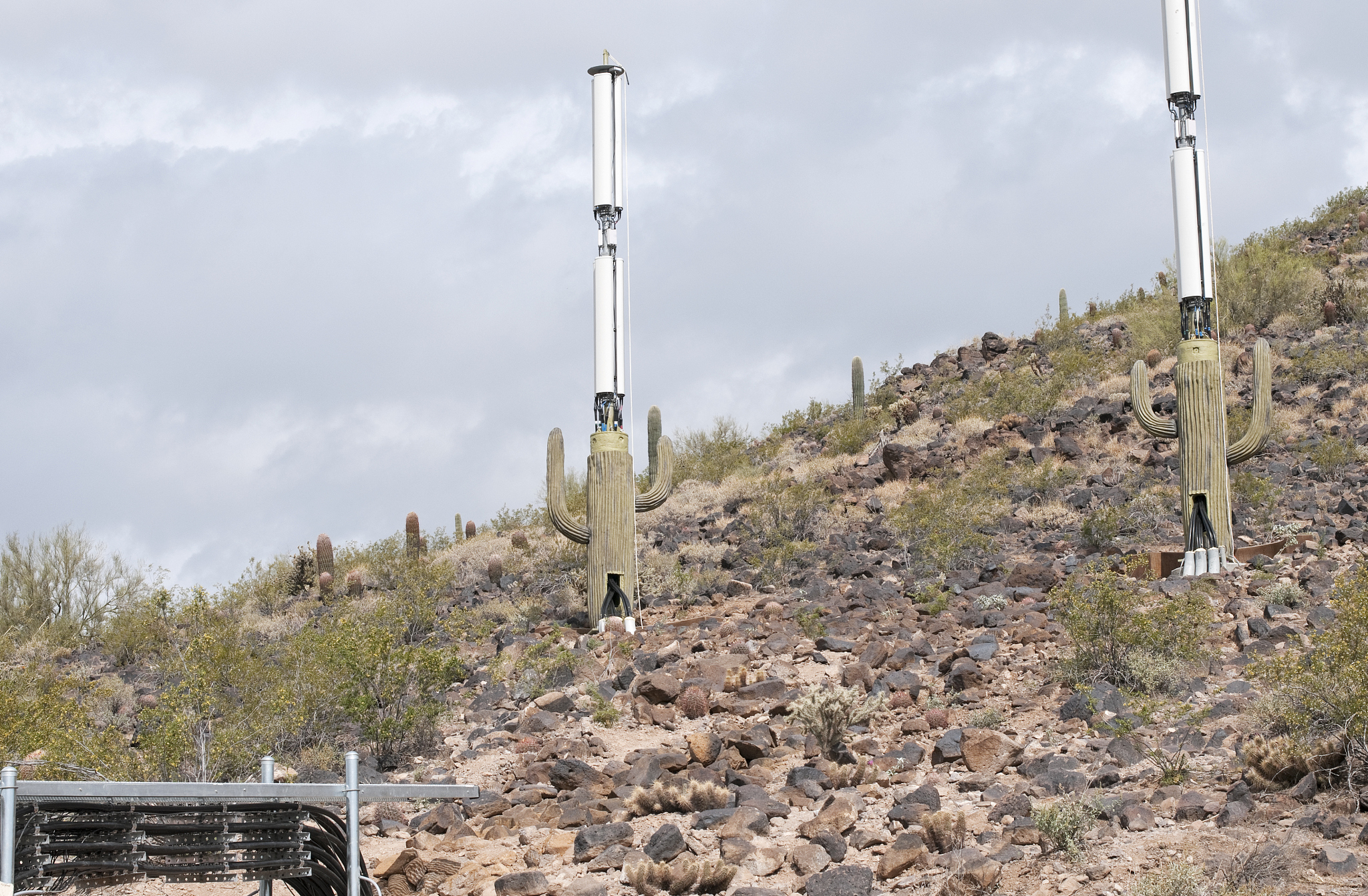 cellular towers disguised as saguaro cacti in arizona