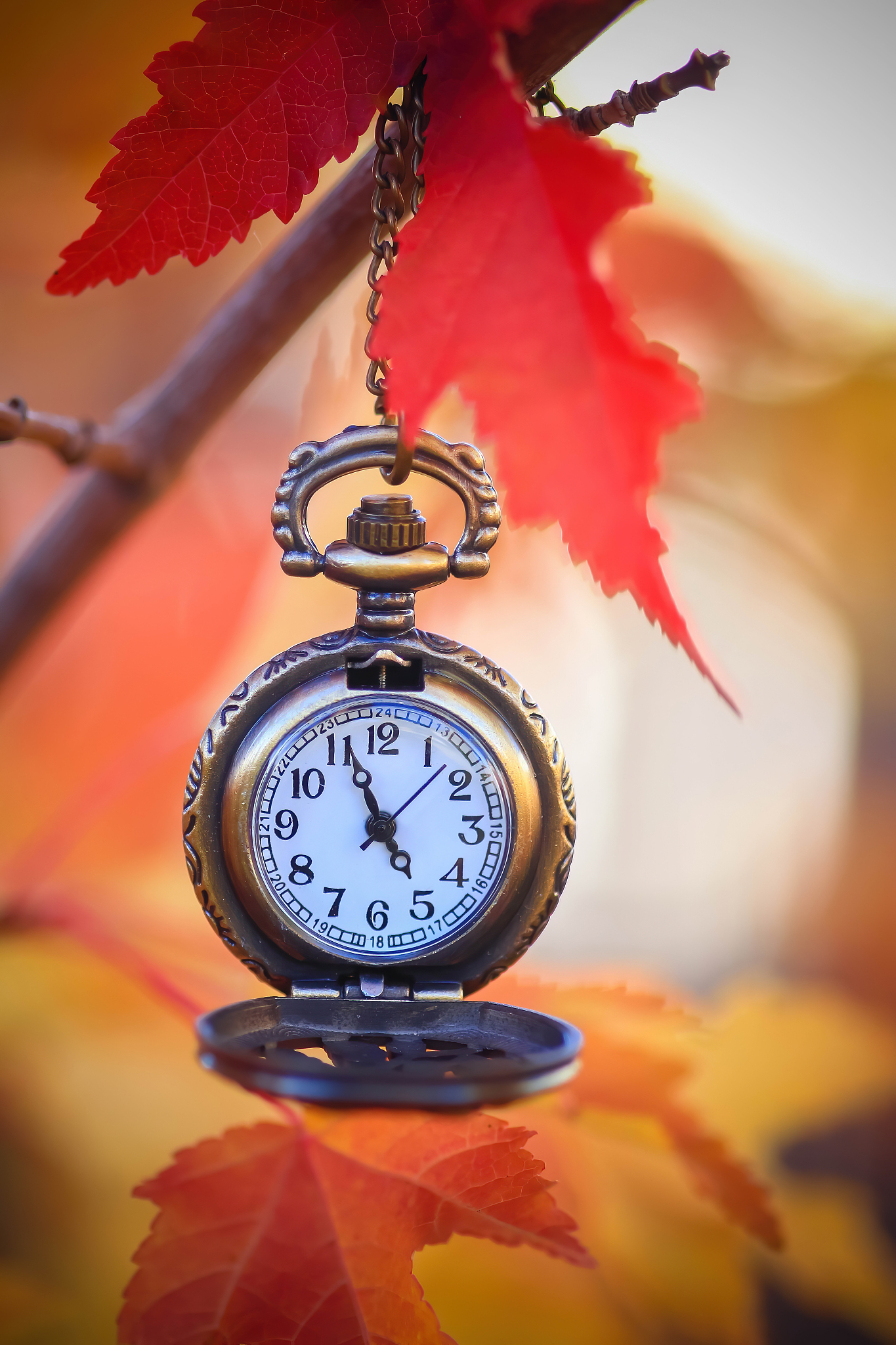 pocket watch hanging from a branch of autumn leaves