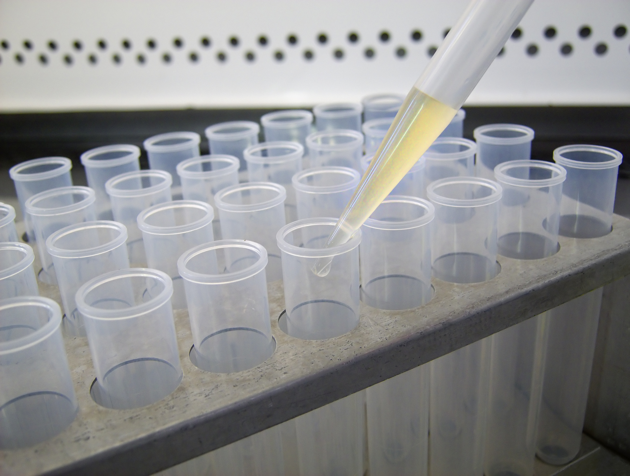 石蜡切片法脱水后可以直接放蜡烛油吗？