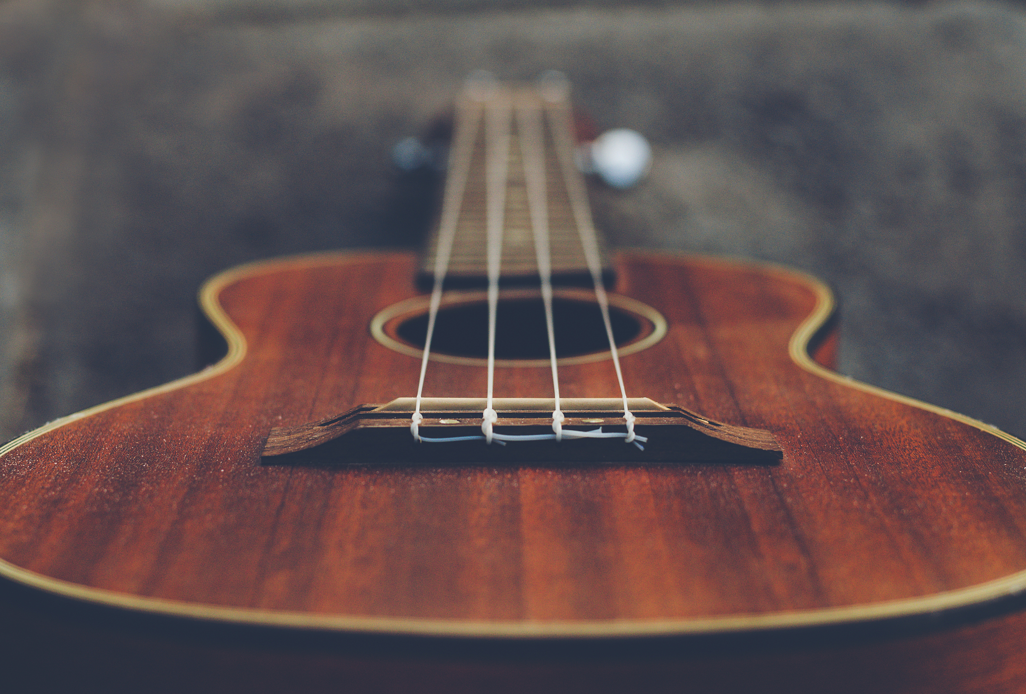 音乐树课程提升5-6岁幼儿执行功能：多元智能视角