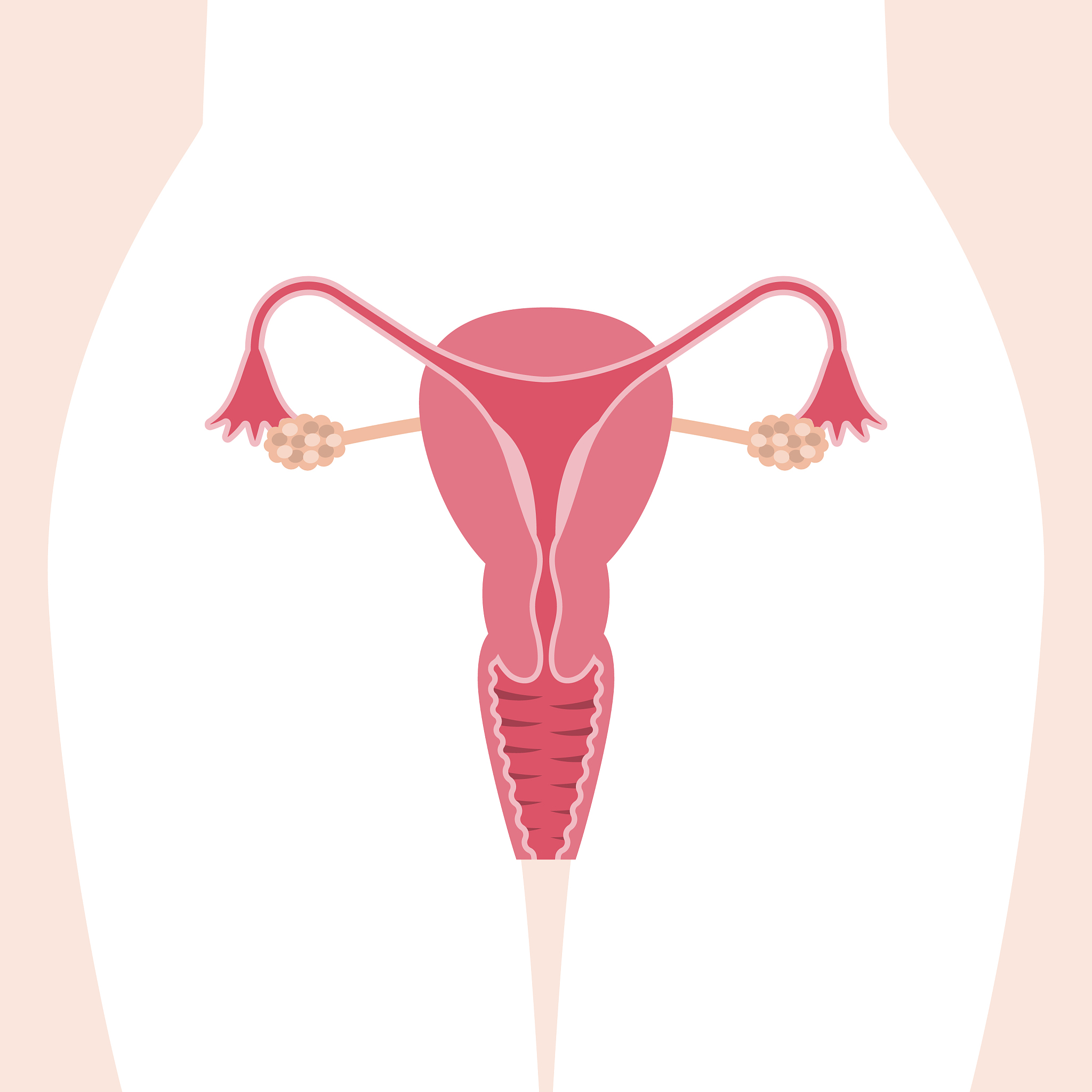 MC是什么意思？女生说MC代表什么？