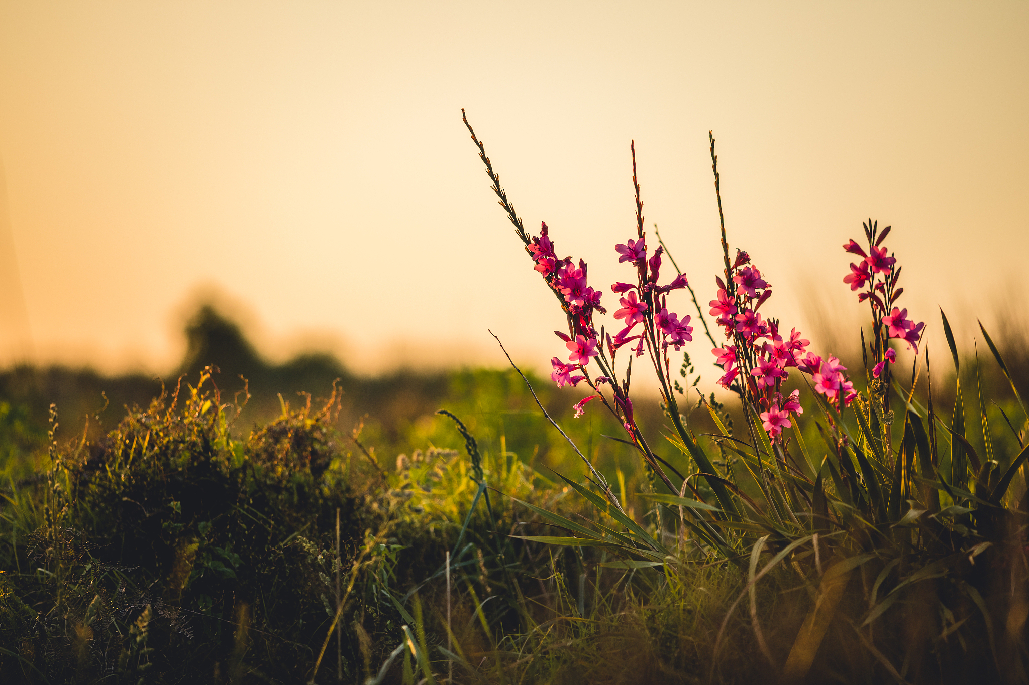 好吧你可以给我写一首诗吗？