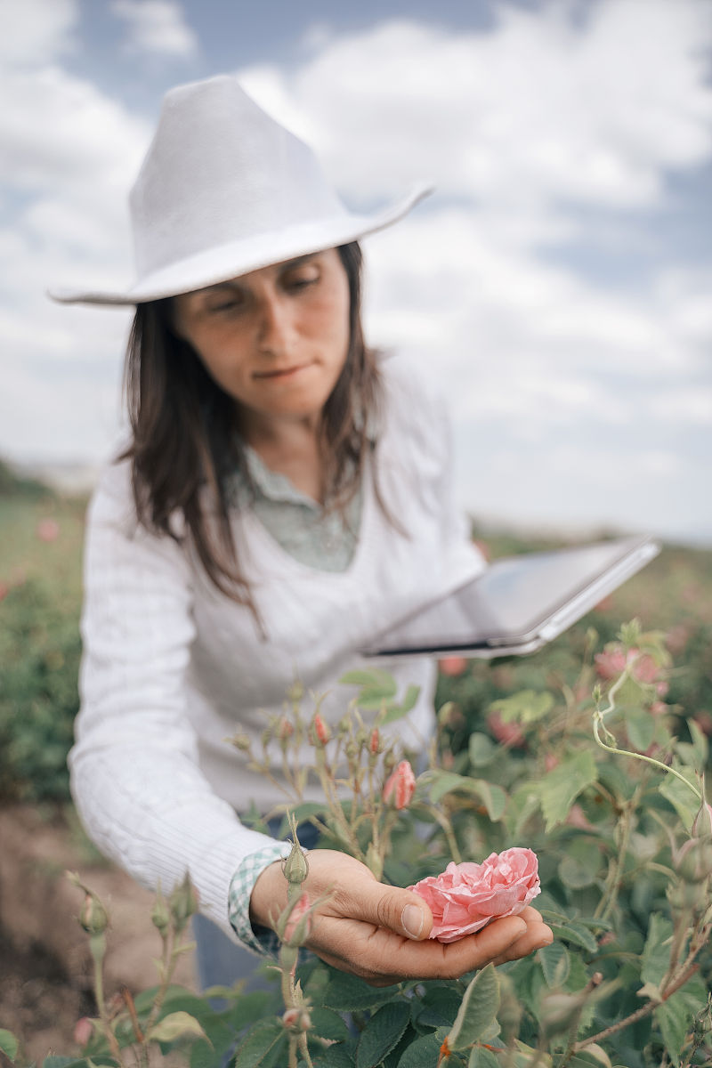 福建农业职业技术学院单招有高铁乘务专业吗
