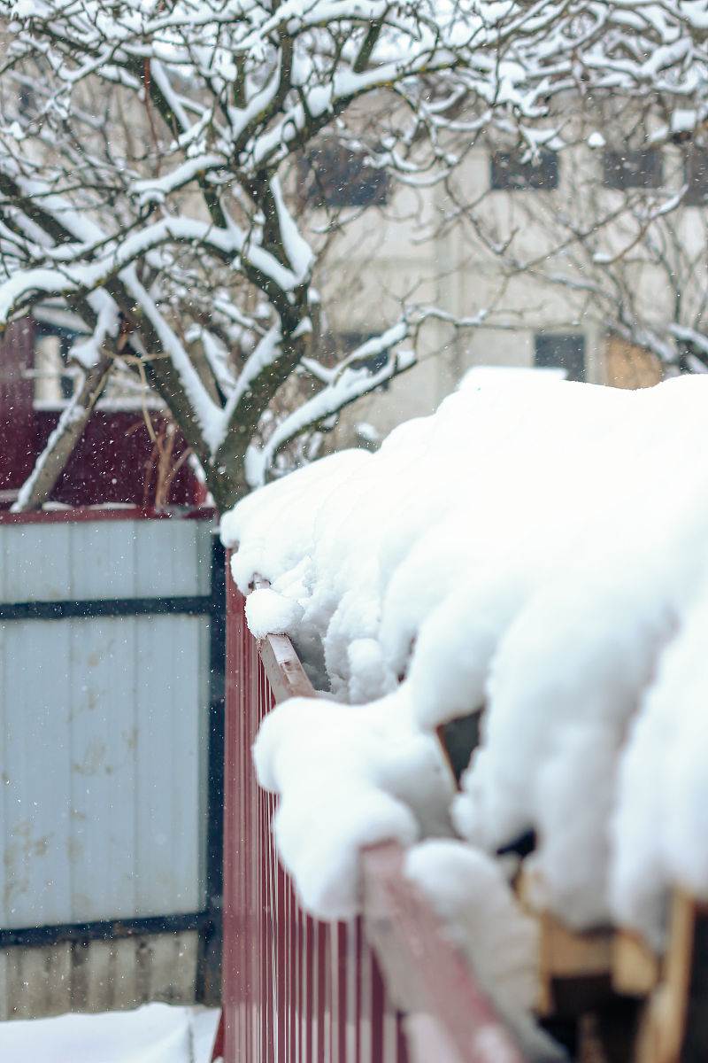 关于雪的歌曲：冬日颂歌