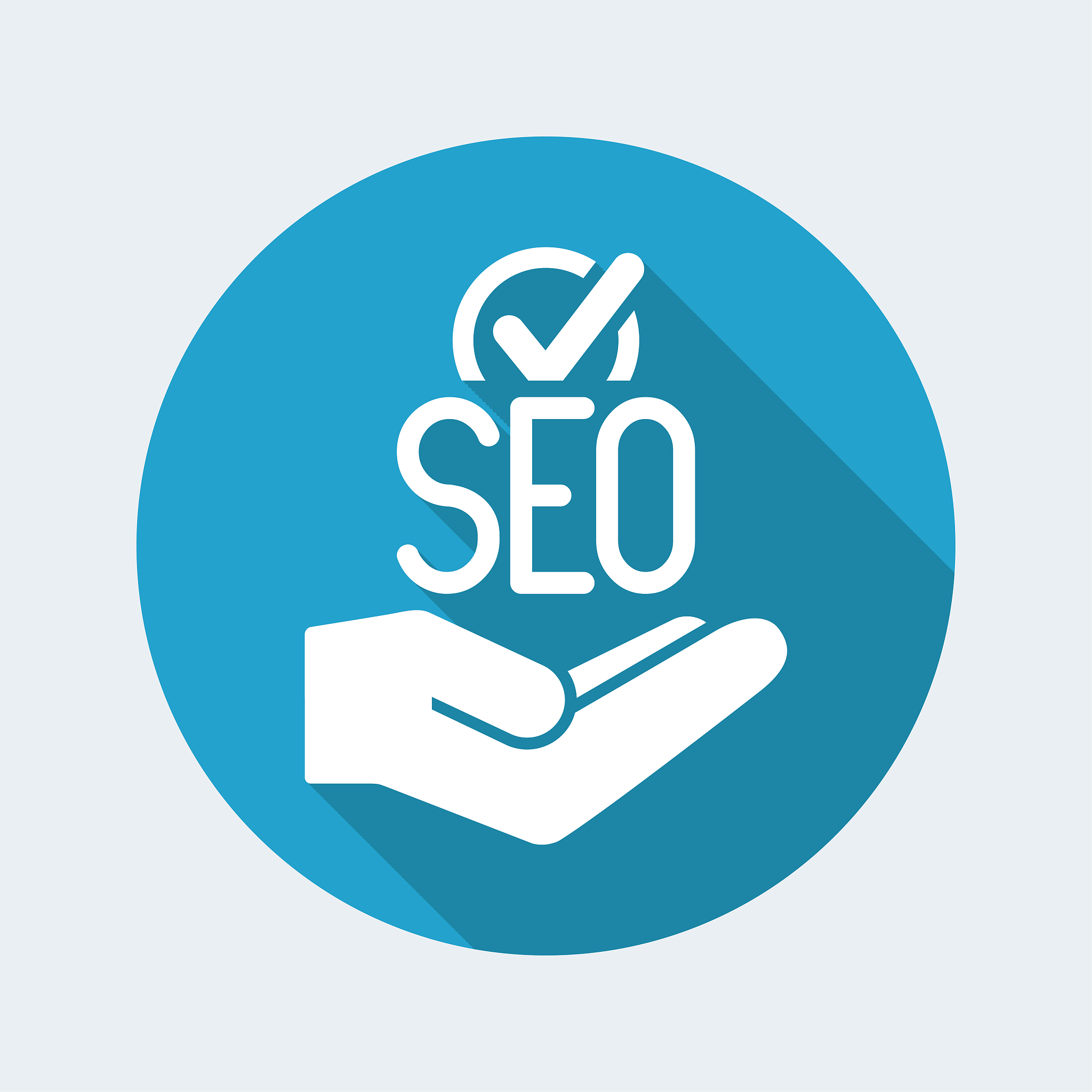 check for seo quality service