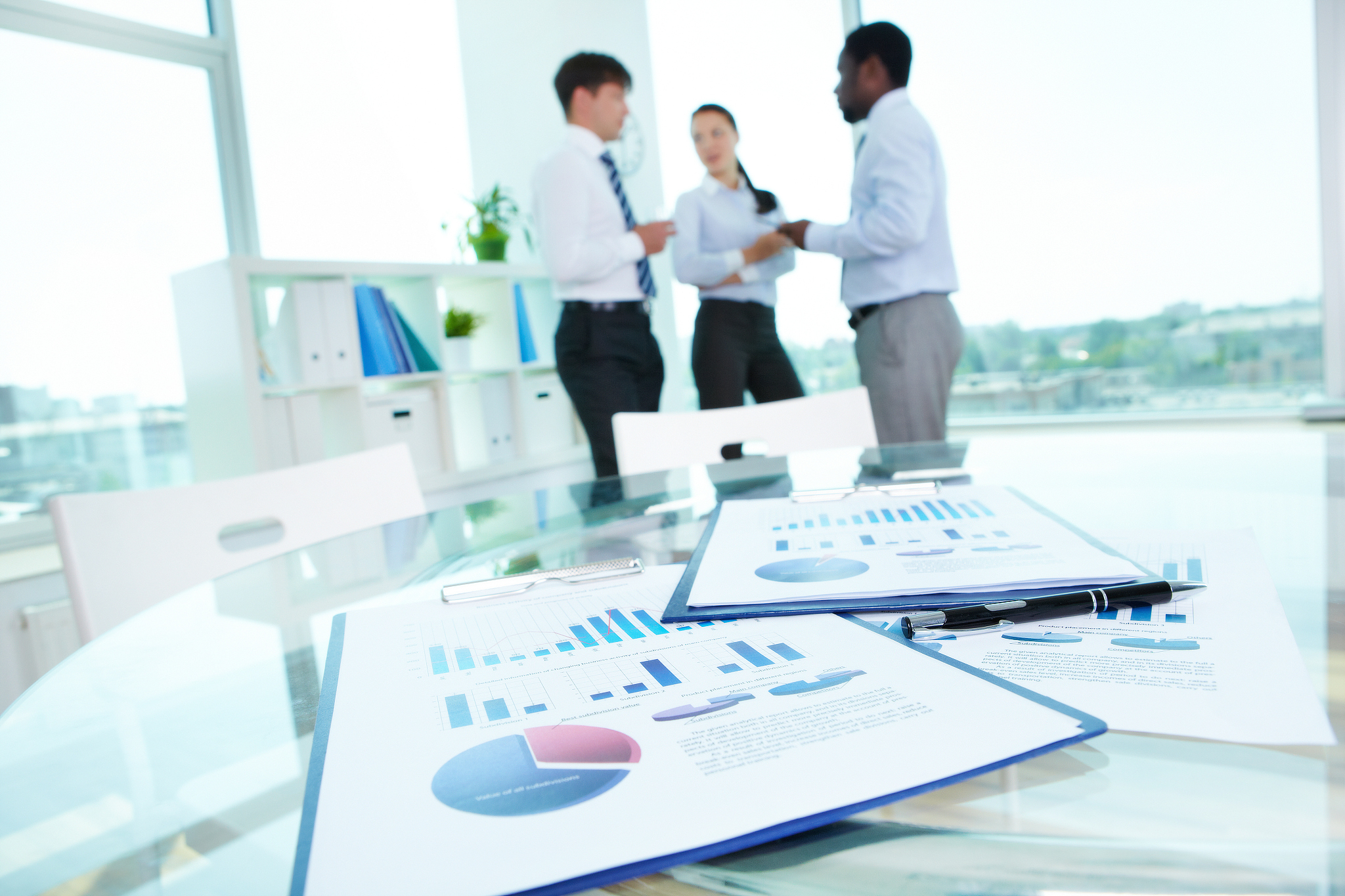 秘书职业化文献综述发展背景