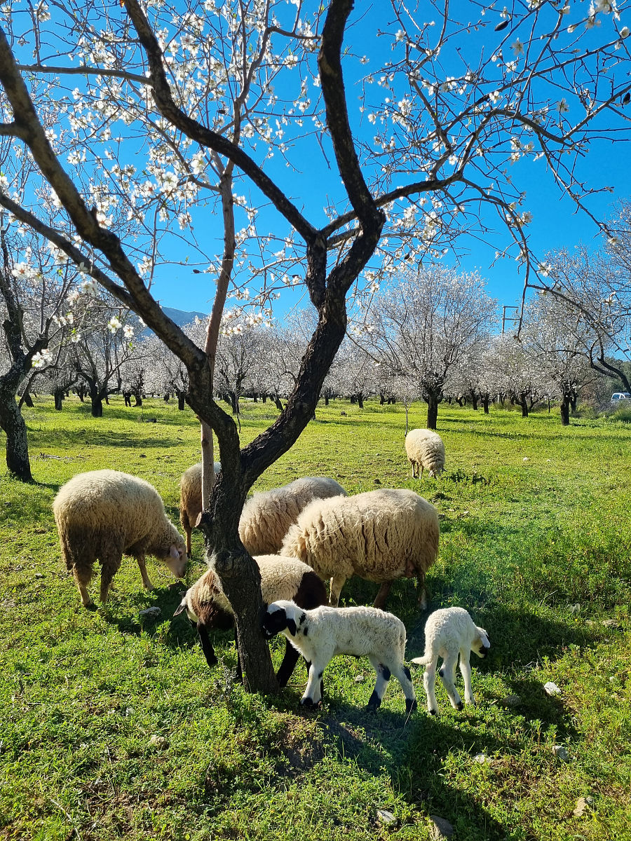 你好您好！有什么可以帮到您呢？你好有什么可以帮到您的吗？怎么样能赚到钱赚钱的方法有很多种具体要看您的兴趣和能力。您可以考虑做兼职、创业、投资等方式来增加收入。此外也可以通过学习提高自己的技能和知识水平从而在工作中获得更高的薪资。写一篇关于春天的文章