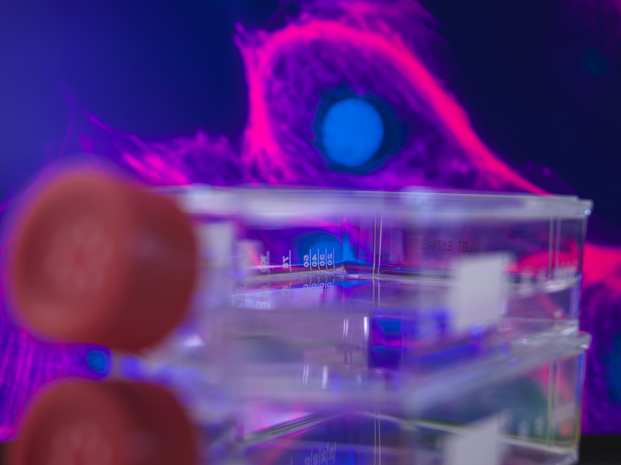 APPLIED PHYSICS B: Lasers and Optics - A Leading Journal in Laser Applications & Optics Research