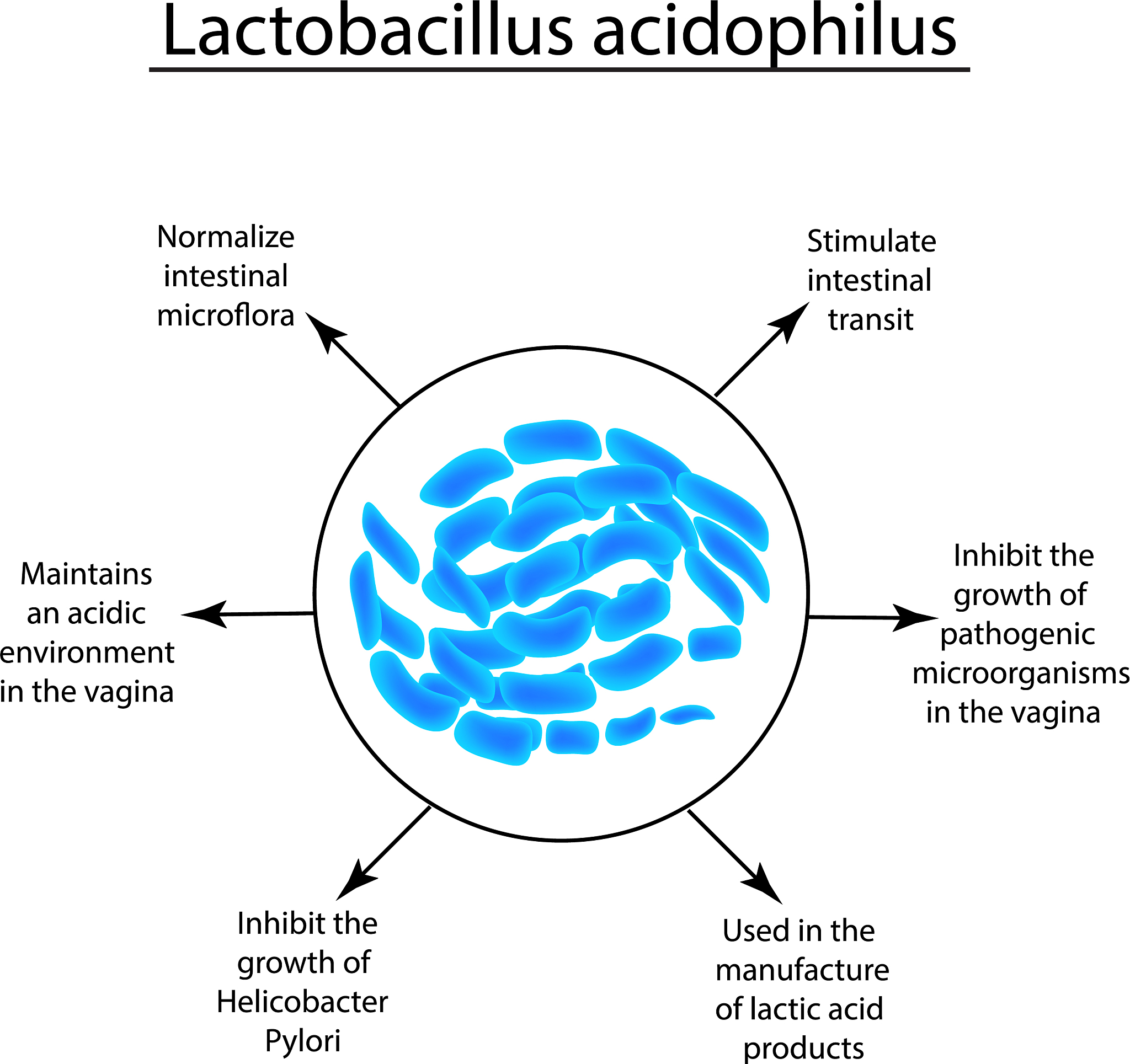 INTERNATIONAL JOURNAL OF BIOCHEMISTRY & CELL BIOLOGY 杂志研究范围 - 涵盖生物化学、细胞生物学等领域