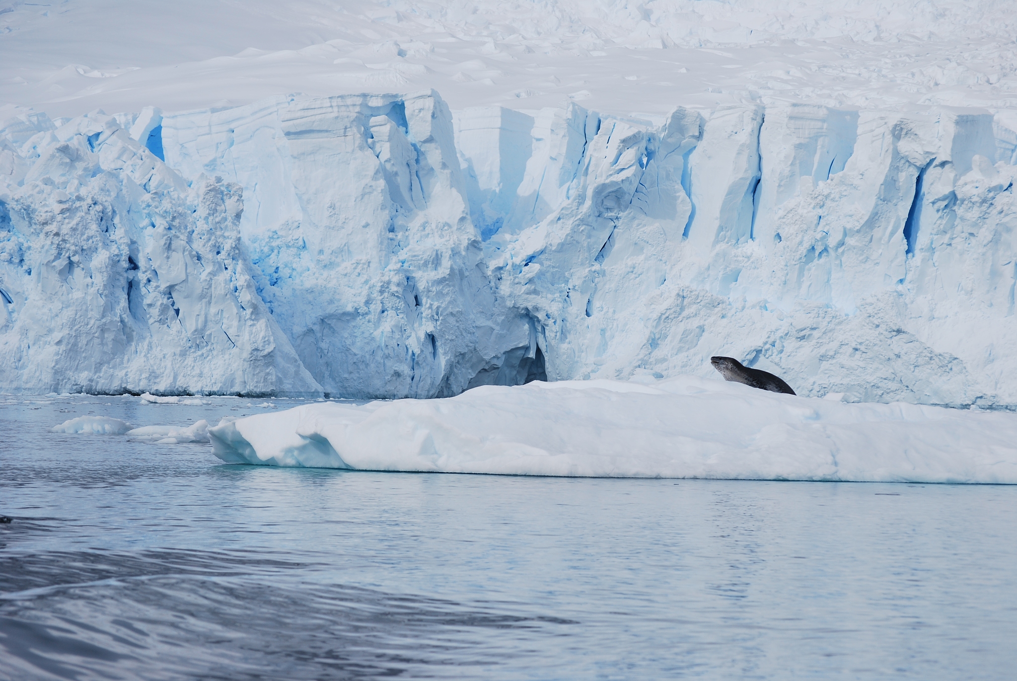 scenic view of frozen sea