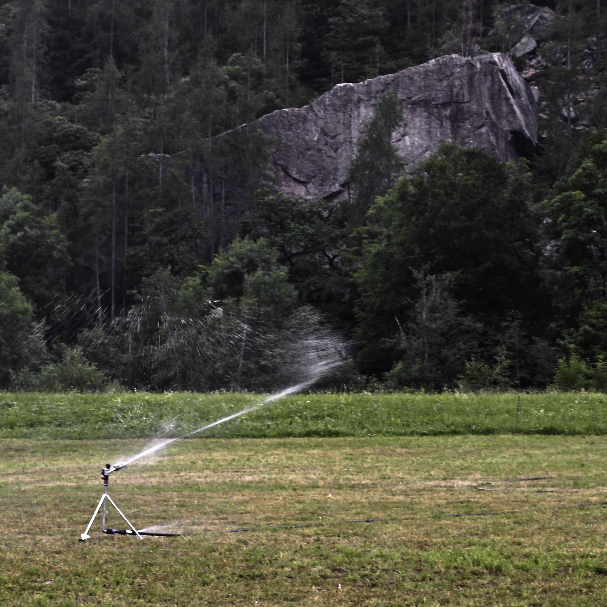 研究基于新型耐用材料的喷头标准：提高喷洒性能与使用寿命
