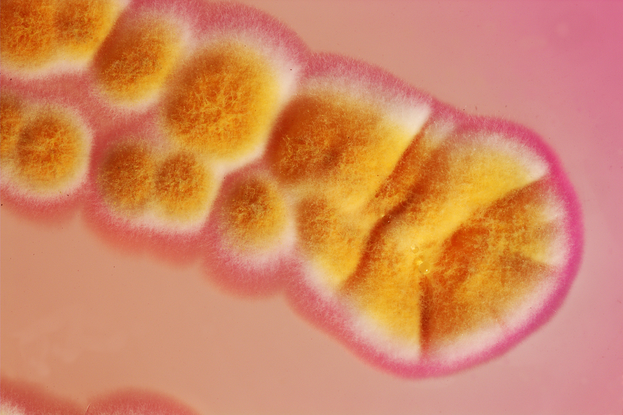 贵阳卫生学校营养与保健专业如何呢