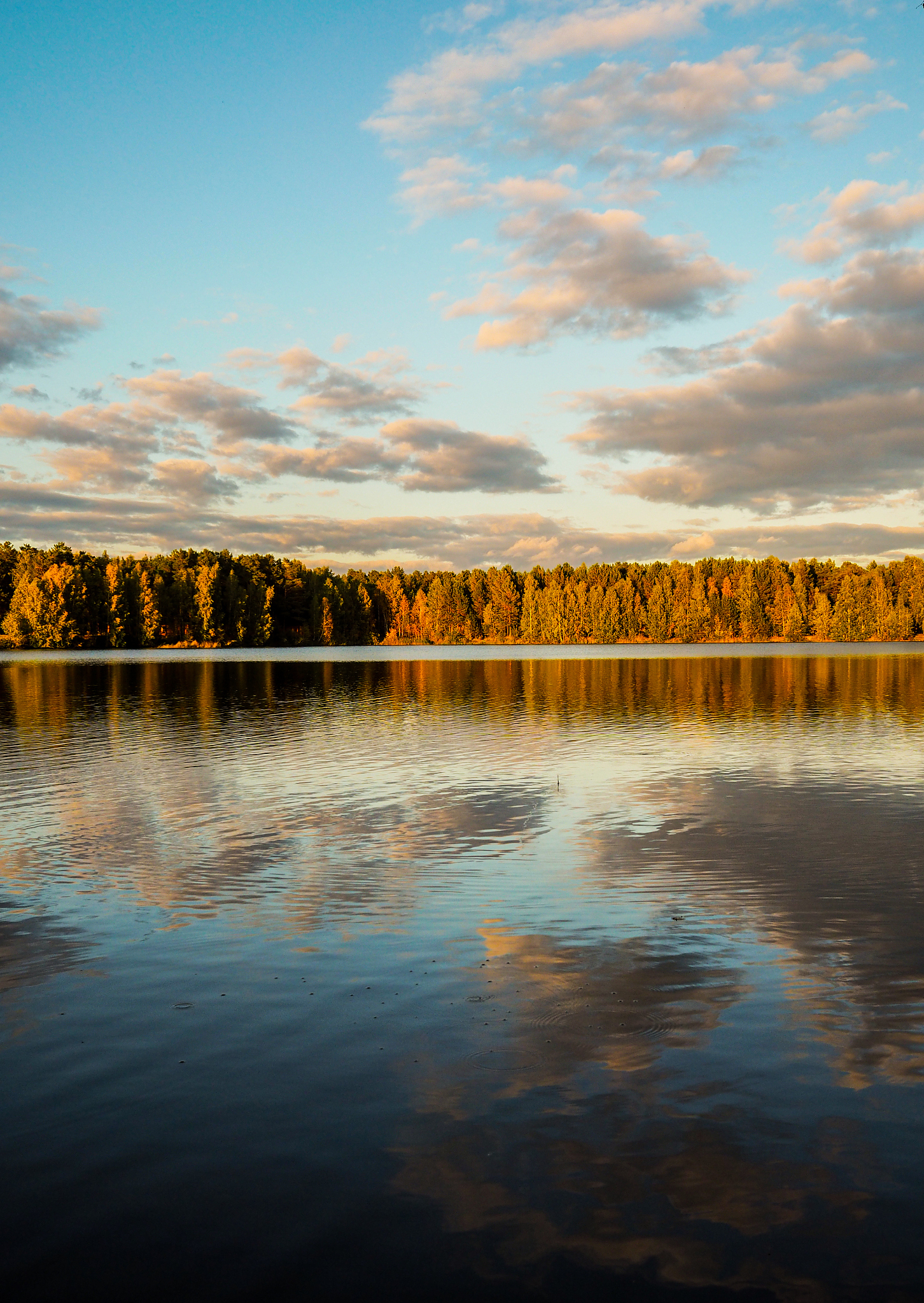 Недостаток контрольных процедур: неверные утверждения