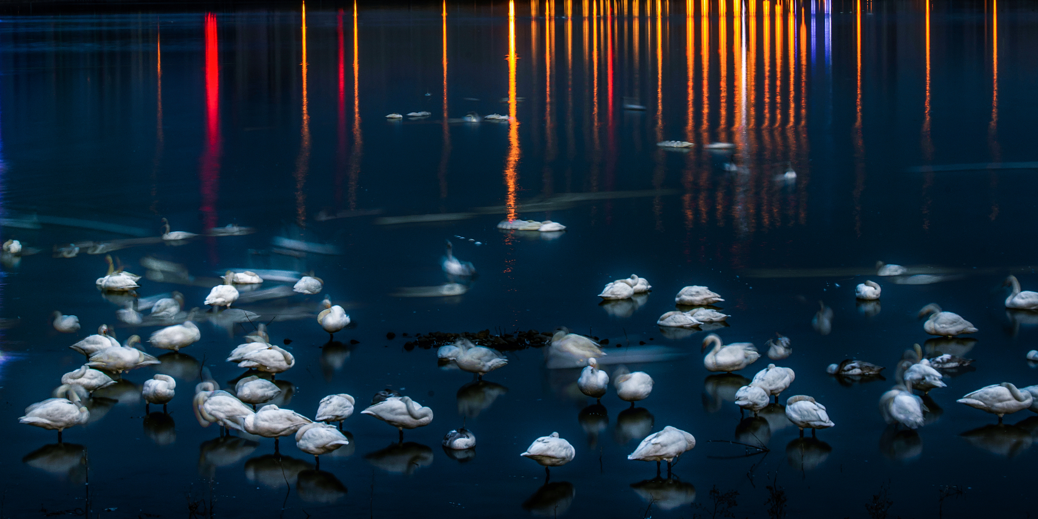 三门峡媒体曝光平台大全：助您企业宣传推广更有效