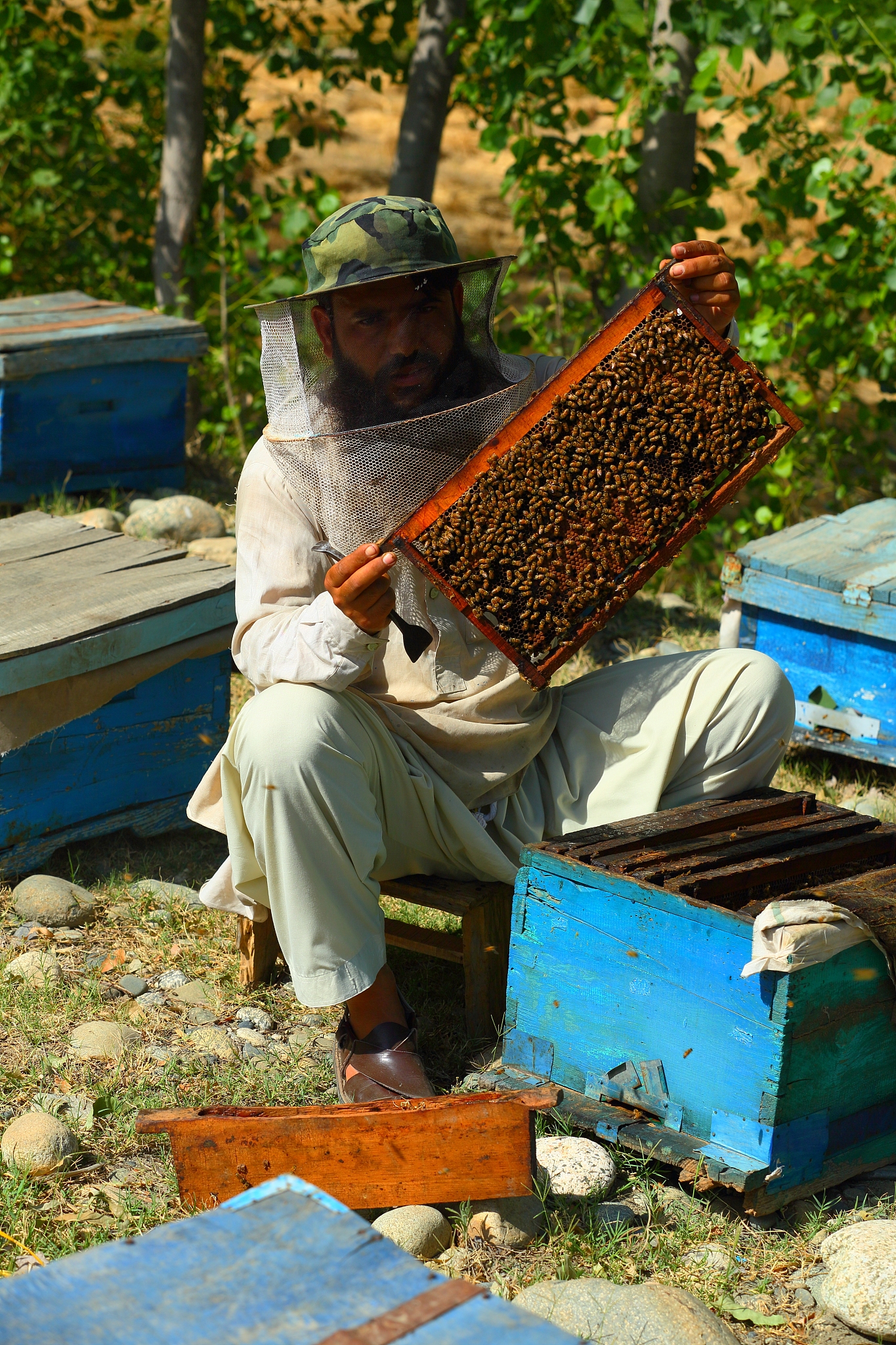 高质量蜂蜜生产