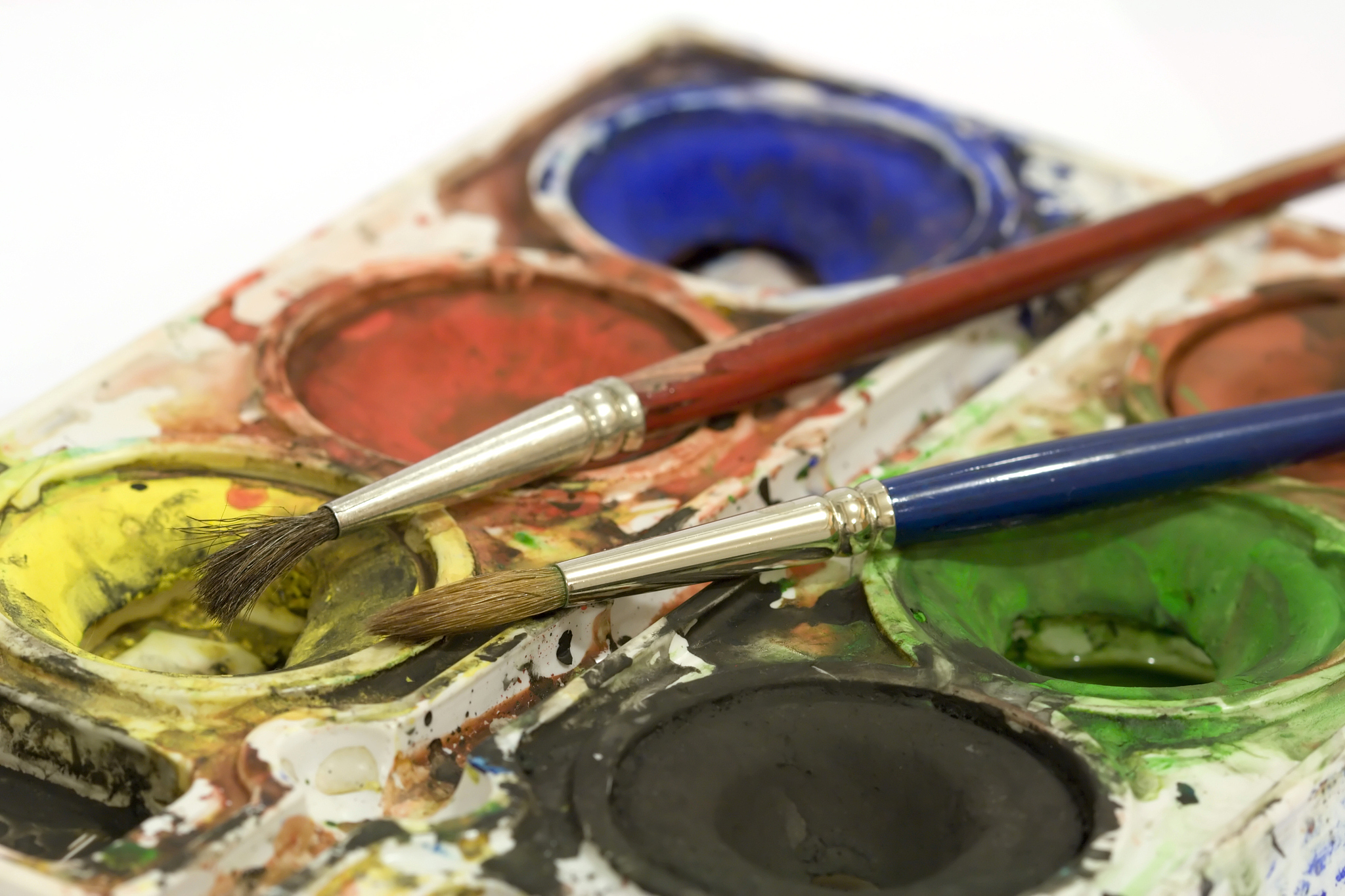 湛江艺术学校2023年招生专业有哪些