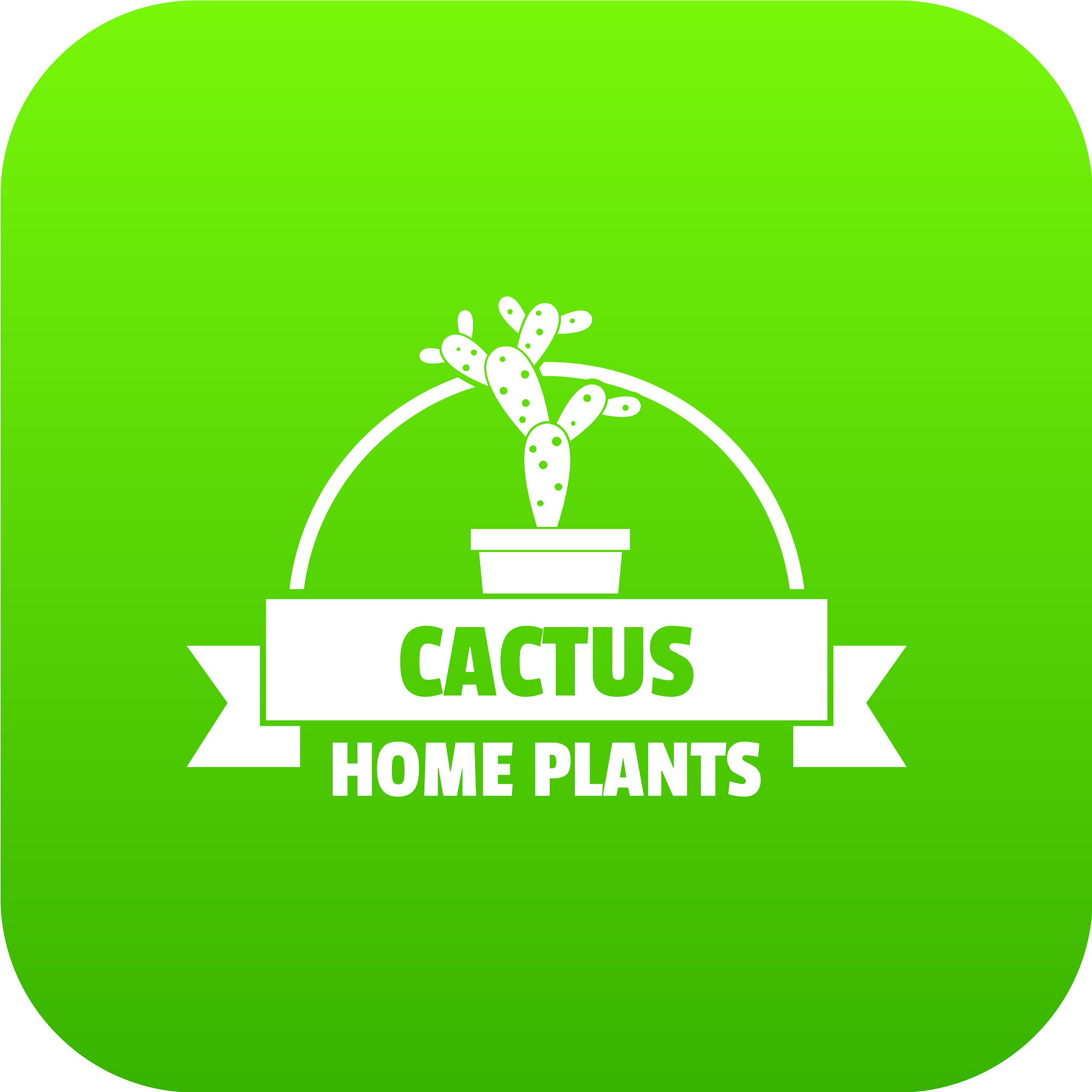 home cactus icon green