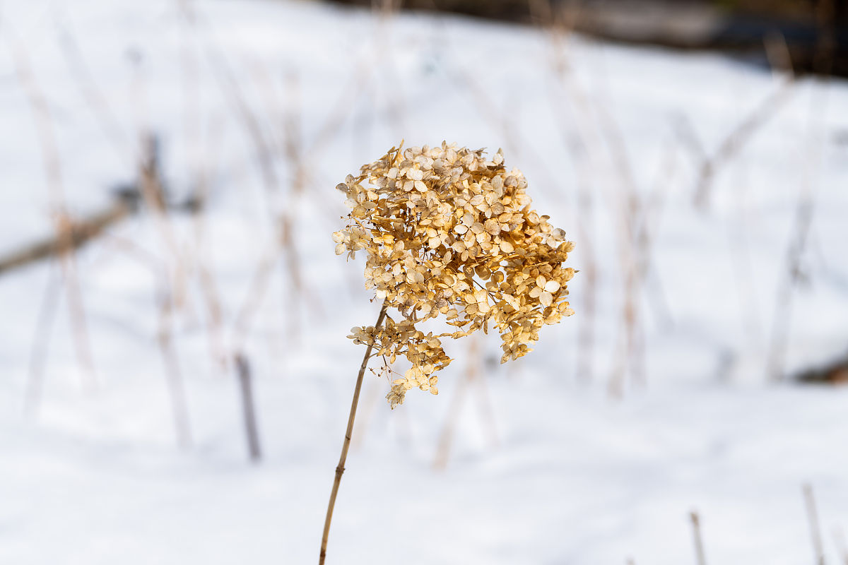 四川的初中毕业学什么专业和选择学校？