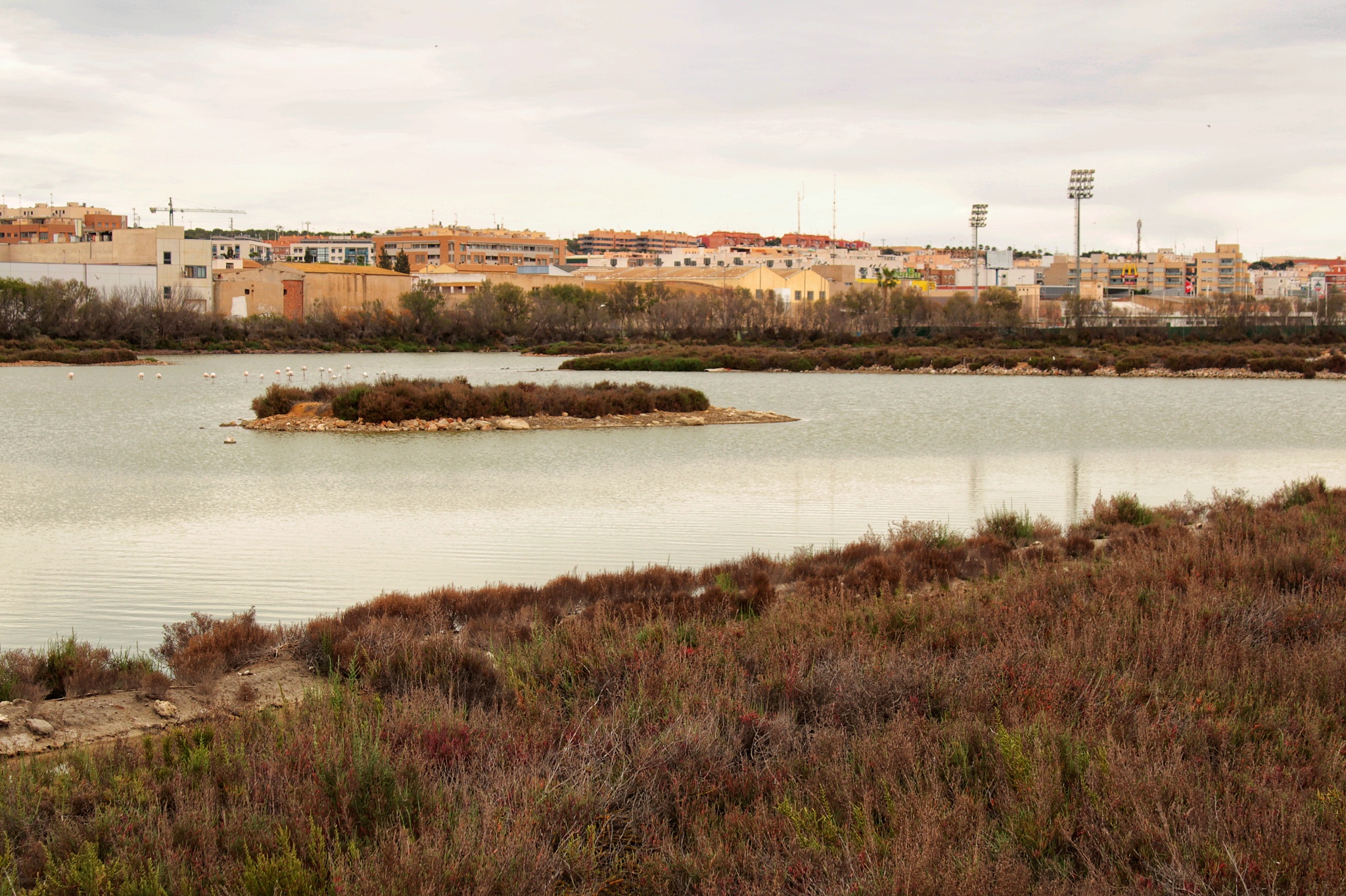 wetlands of santa pola